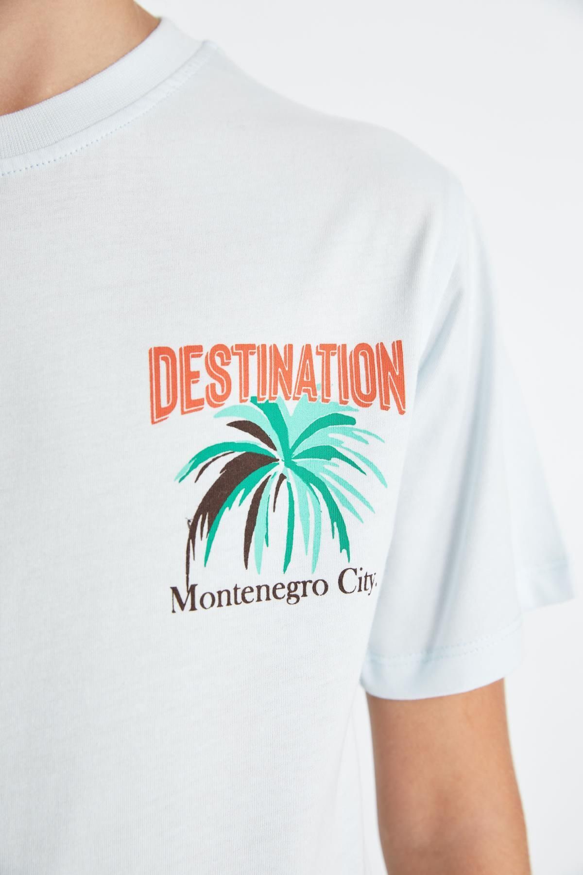 تی شرت پسرانه دفاکتو | D2231A824HS Defacto - Image 6