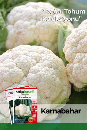 Patika Botanik 150 Adet Ata Tohumu Yerli Karnabahar