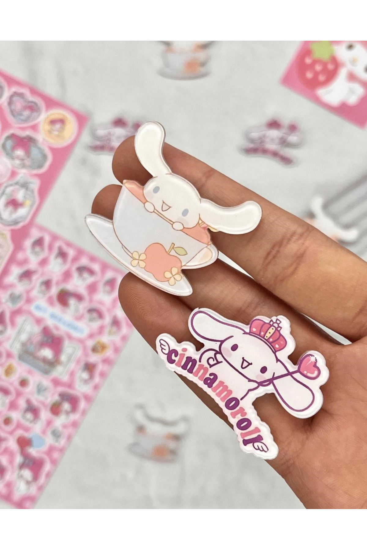 Sanrio Cinnamoroll Character Badge Set of 2/ Pin Brooch