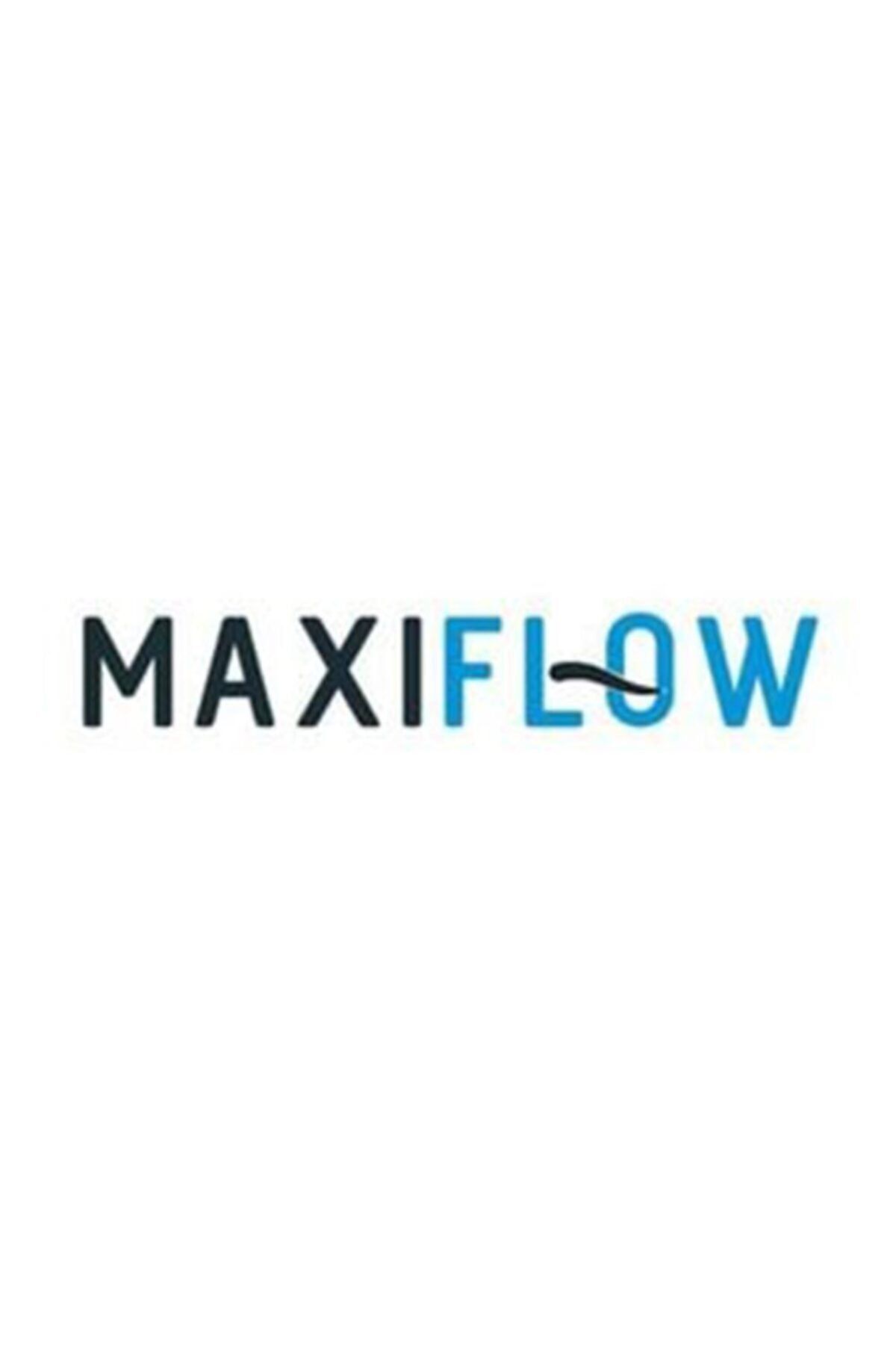 Maxiflow-Set suport perie pentru WC Maxiflow 2