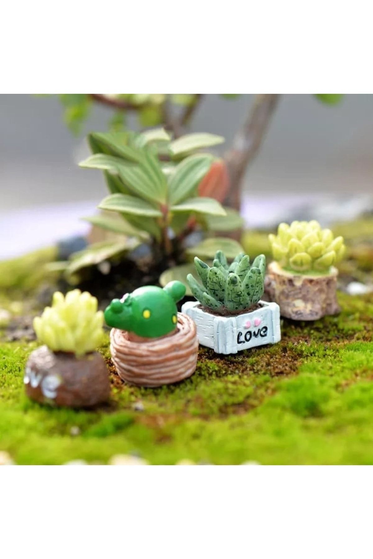 4'lü Kaktüs Maket Kürdanlı Cupcake Pasta Süsü Doğum Günü Süsleri Kürdan Süsü