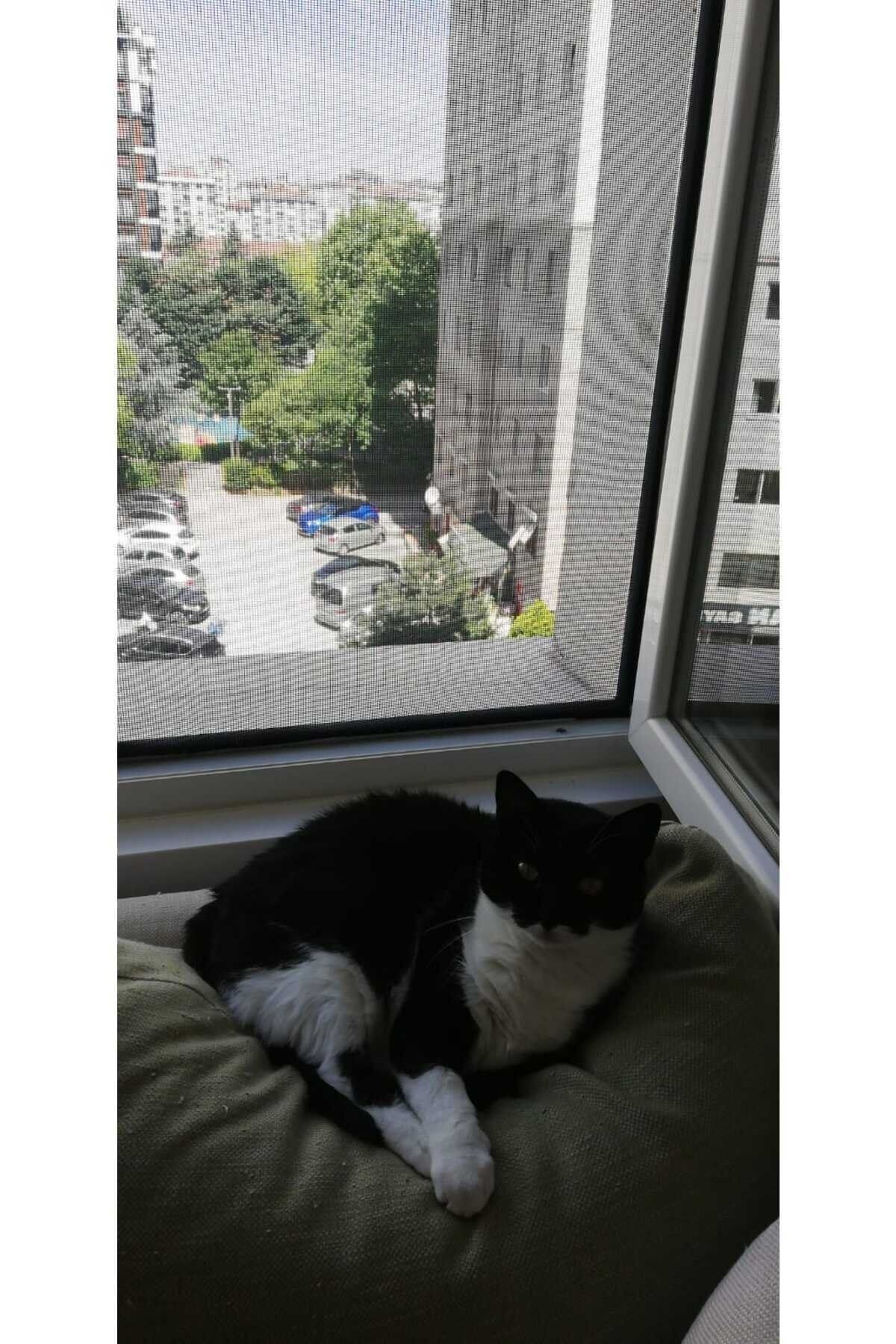 ERİKMANN-Cat Fly Screen Width 75 Cm X Length - 140 Cm Pet Safety Net 2