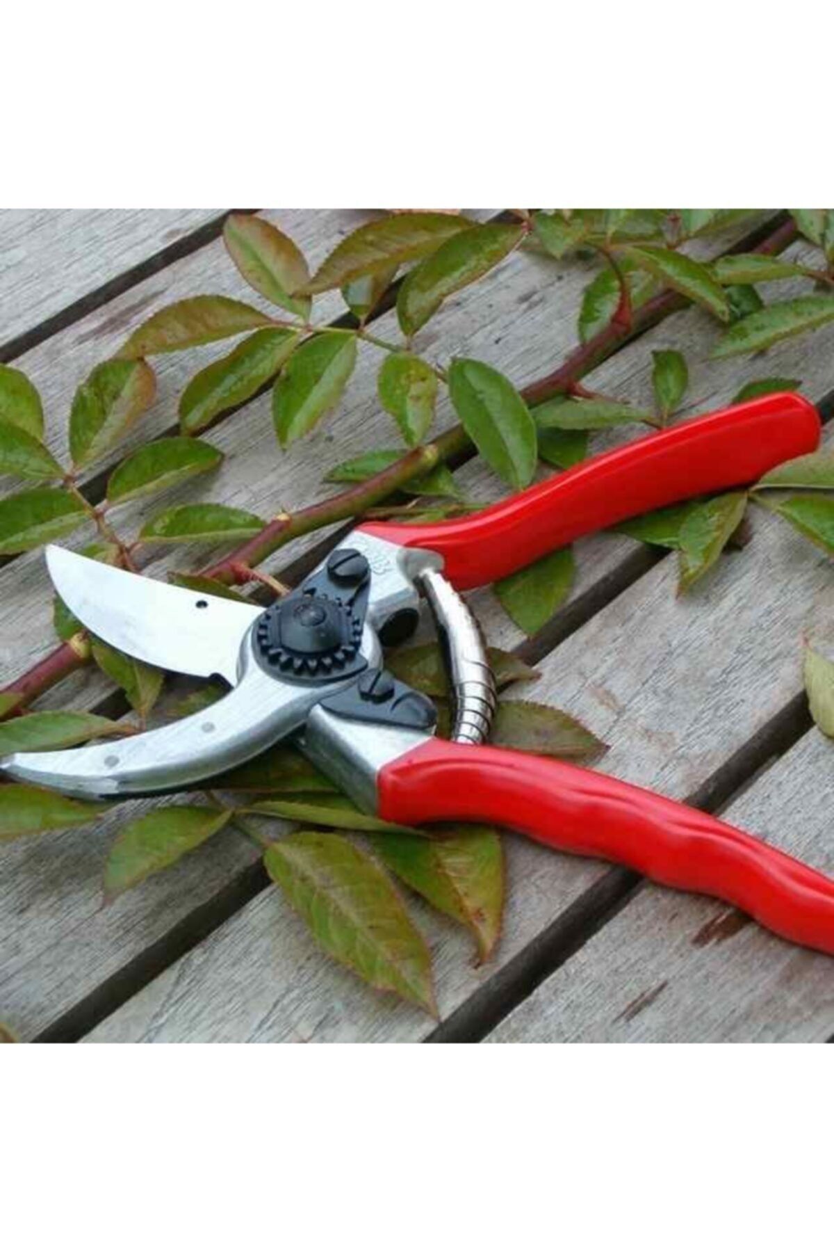 Felco-2 Pruning Scissors 21.5mm Right By Pass with Flashlight Set 2
