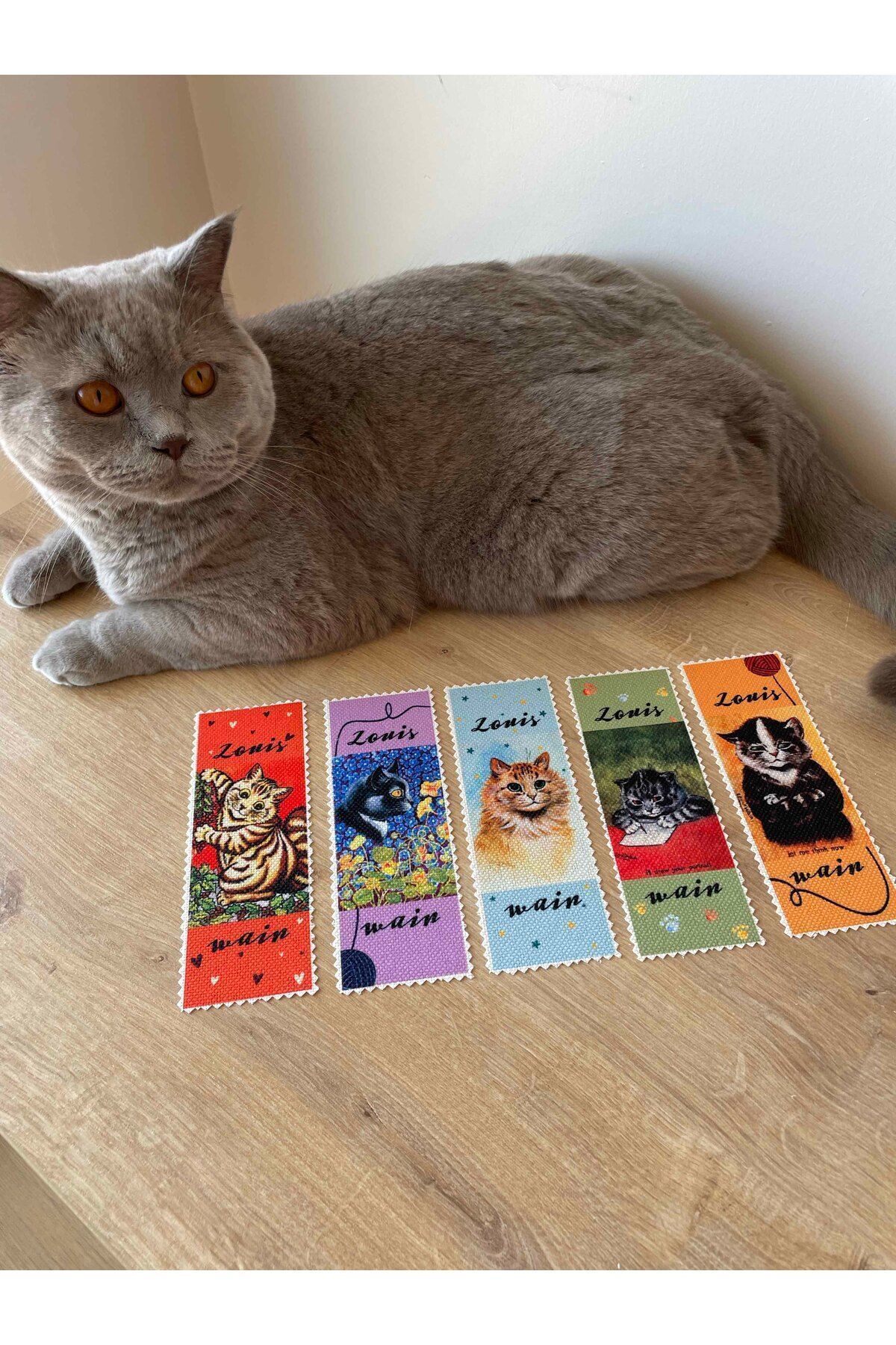 pamukcanta Sanatsal Tasarım Yıkanabilir Kedili Kitap Ayracı (5'Lİ)