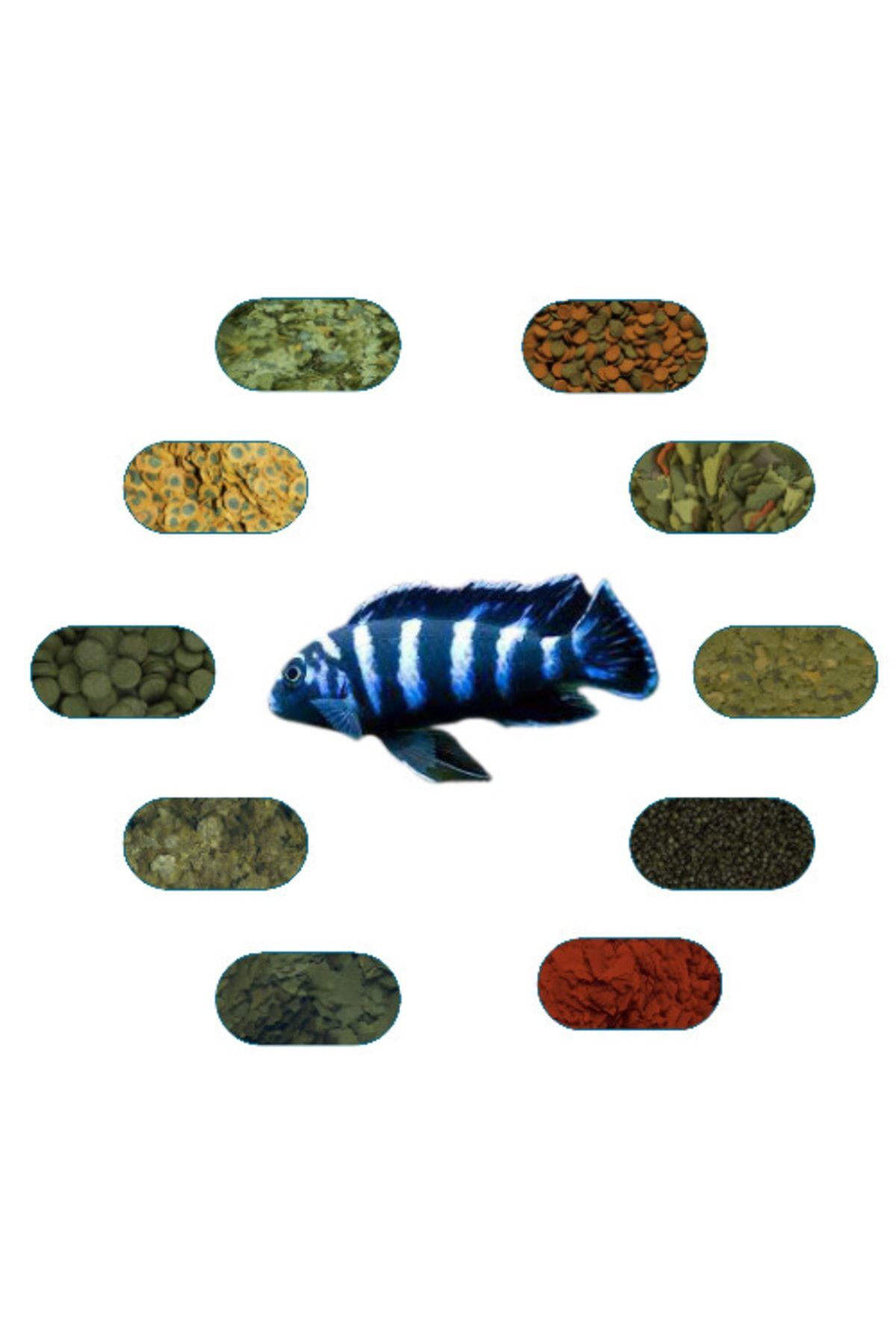 Genel Markalar Demasoni Özel Balık Yem Paketi 100 Gr/ad (7 ÇEŞİT)