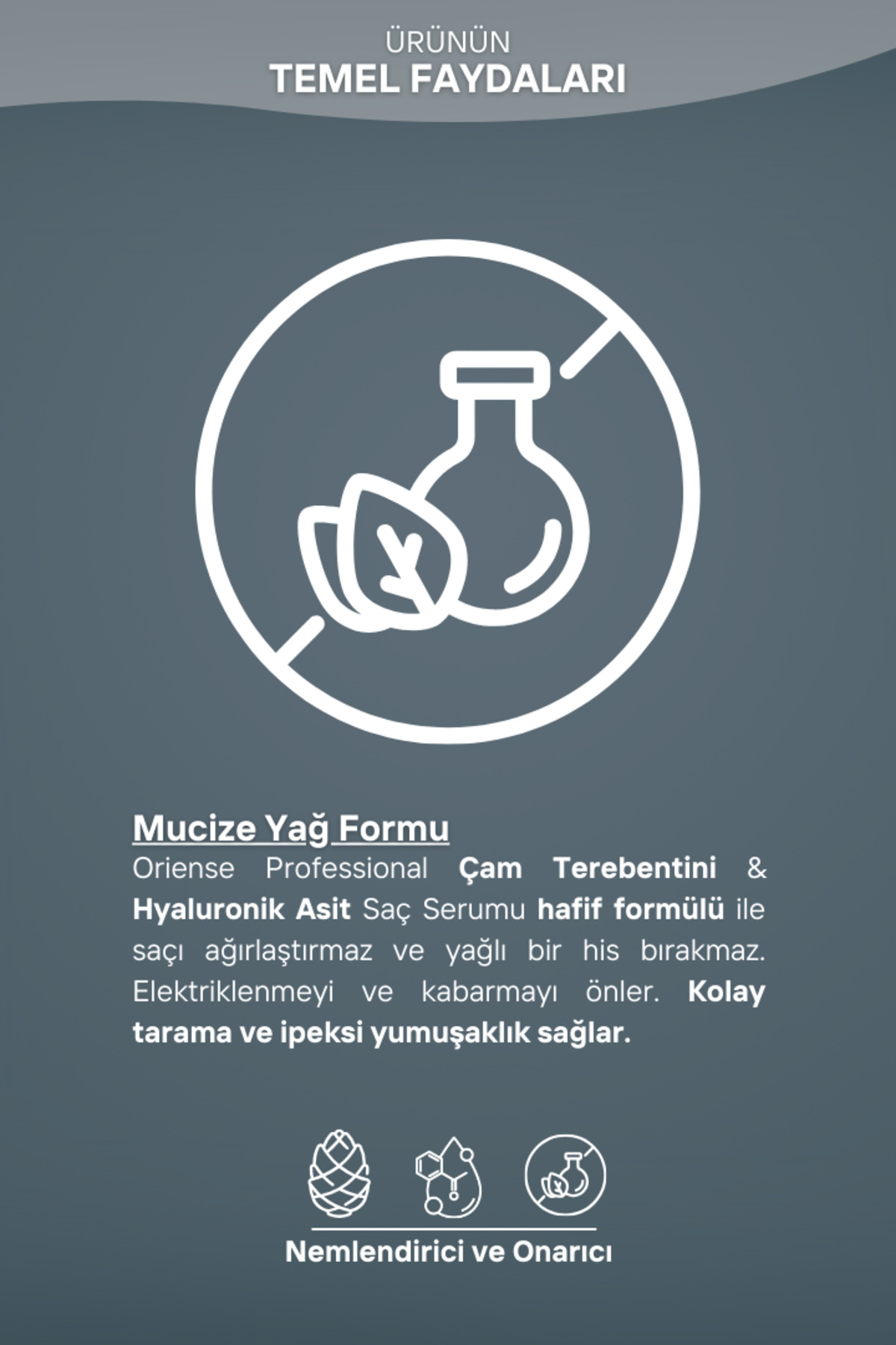 Çam Terebentin ve Hyaluronik Asit Saç Serumu, Yoğun Nem ve Onarım, Elektriklenmeyi Kontrol Eder — ORS-HRSRM-02 — تصویر 6 از 6
