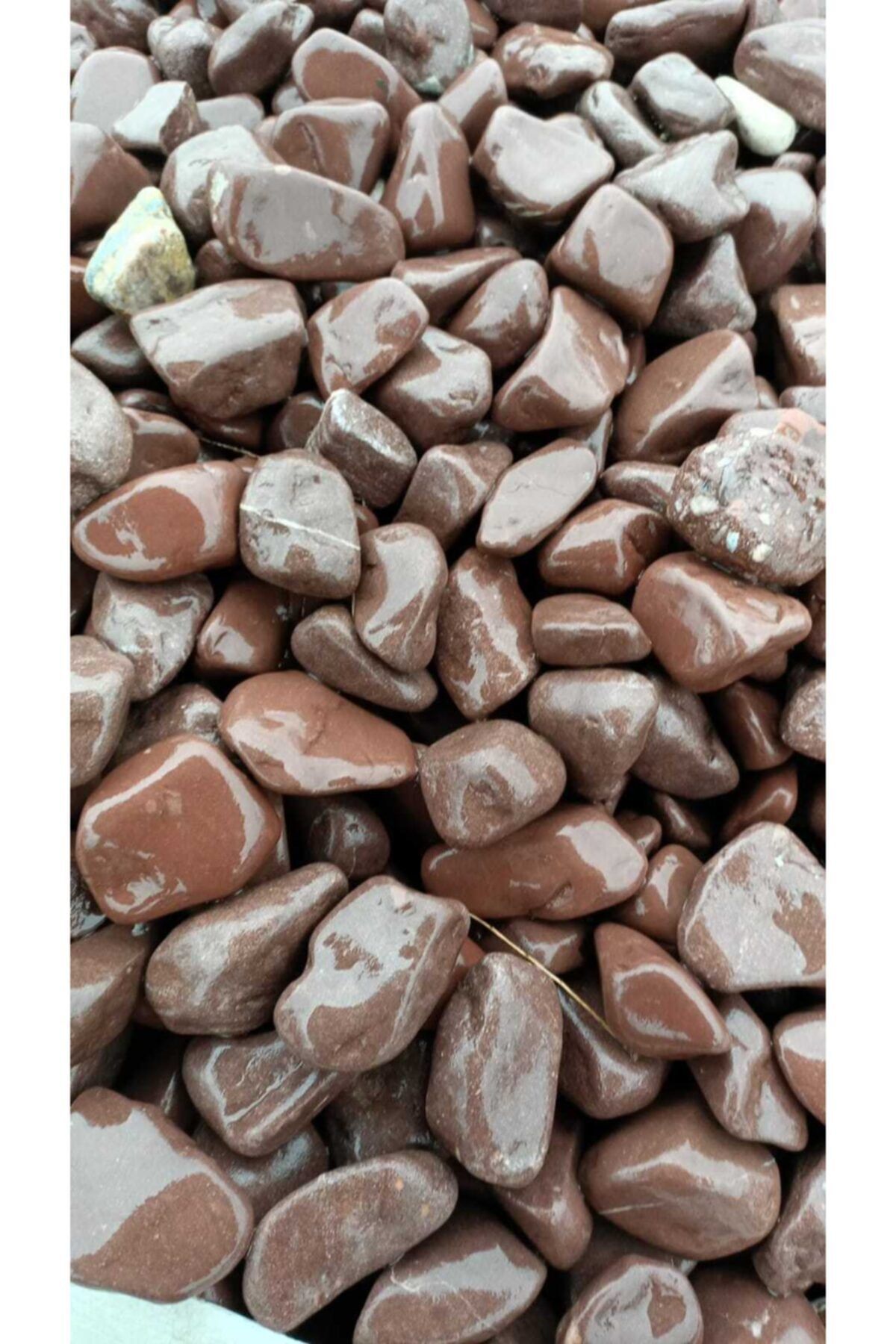 Bordo 10 kg 2-4 cm Doğal Dekoratif Peyzaj Süs Taşı 3