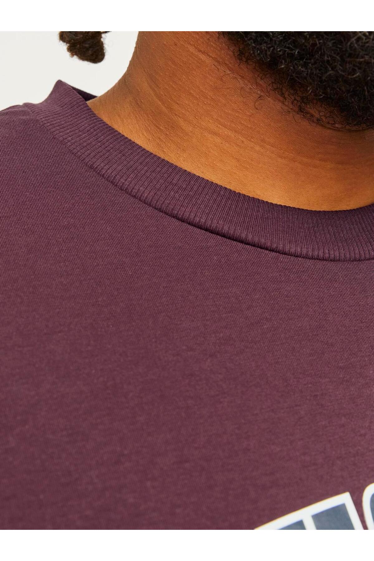 تیشرت مردانه رنگارنگ جک اند جونز | 12258871 اورجینال - تصویر 2