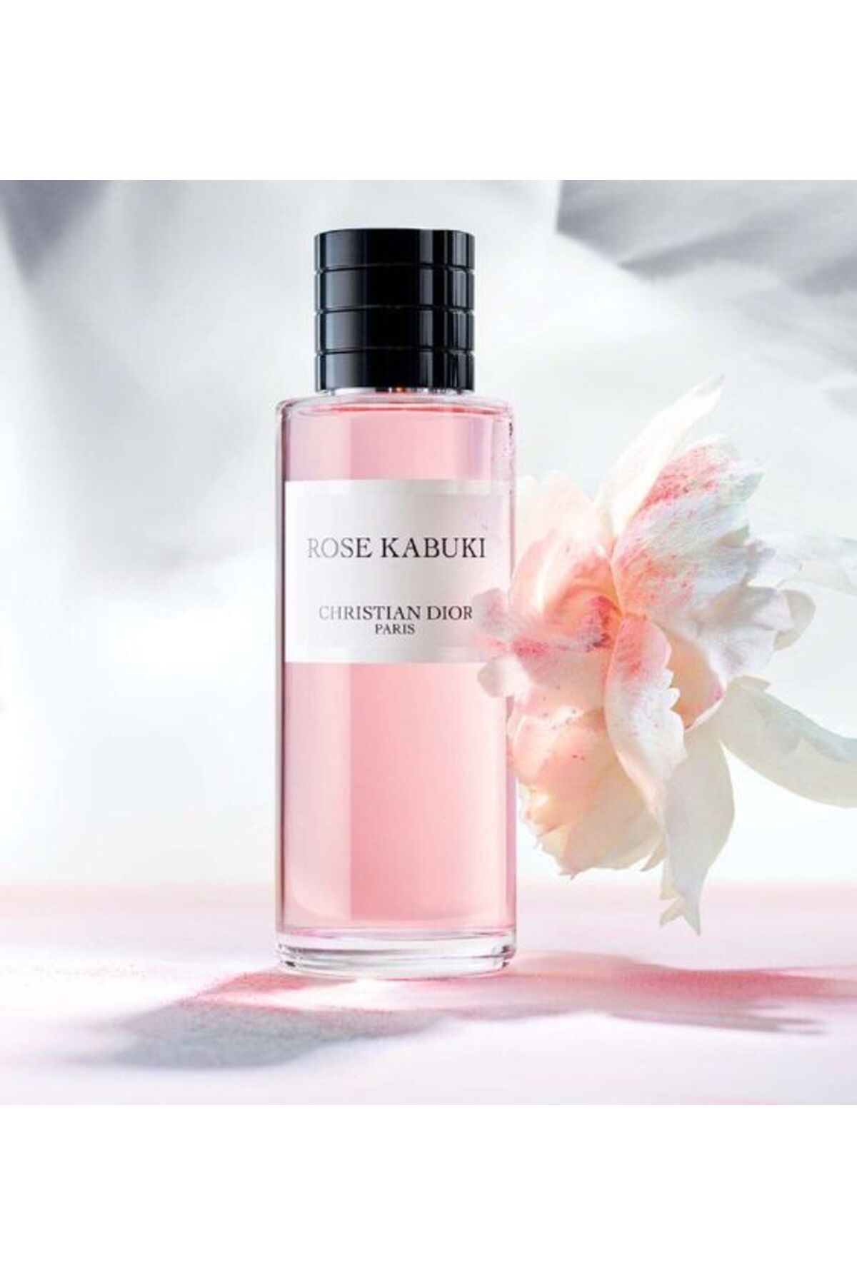 Dior Christian Dior Rose Kabuki Edp For Women, 125 ml- Trendyol