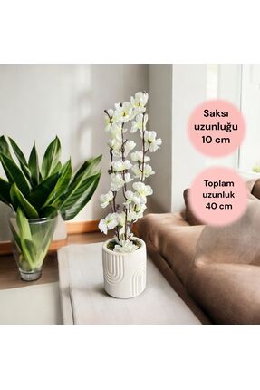 Trend KenT Beton Saksıda Gerçek Taş Yosunlu Yapay Japon Kiraz Çiçeği,Saksı ,A...