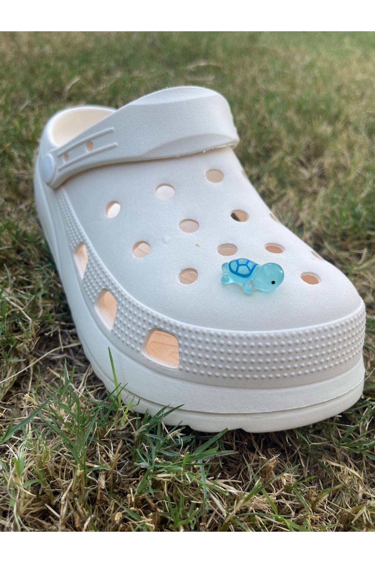 هدیه مفهومی لاک پشت توله سگ درخشان در تزئینات لغزنده سه بعدی تاریک 3D JIBBTIZ CROCS CHARM Crocs