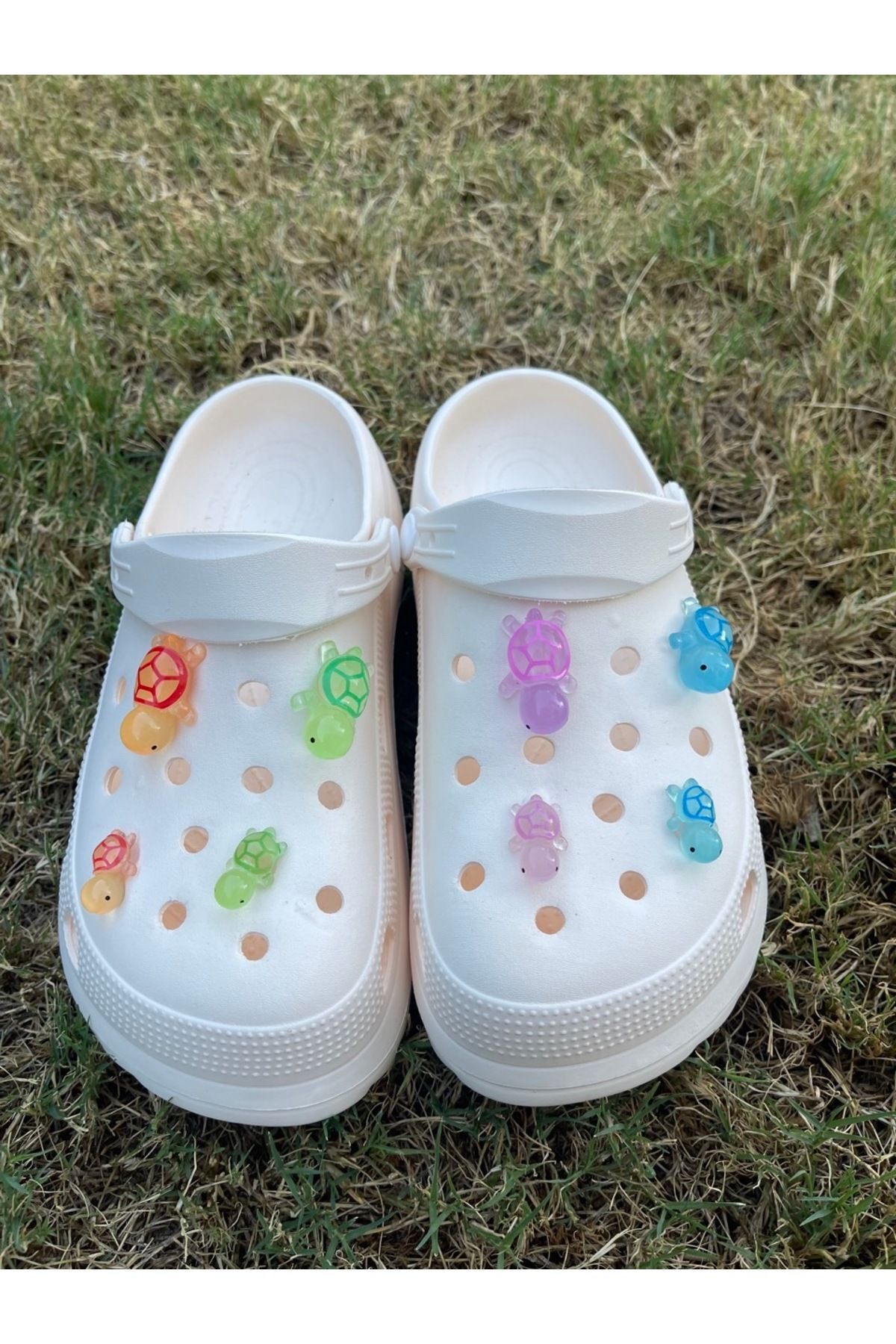 هدیه مفهومی لاک پشت توله سگ درخشان در تزئینات لغزنده سه بعدی تاریک 3D JIBBTIZ CROCS CHARM Crocs