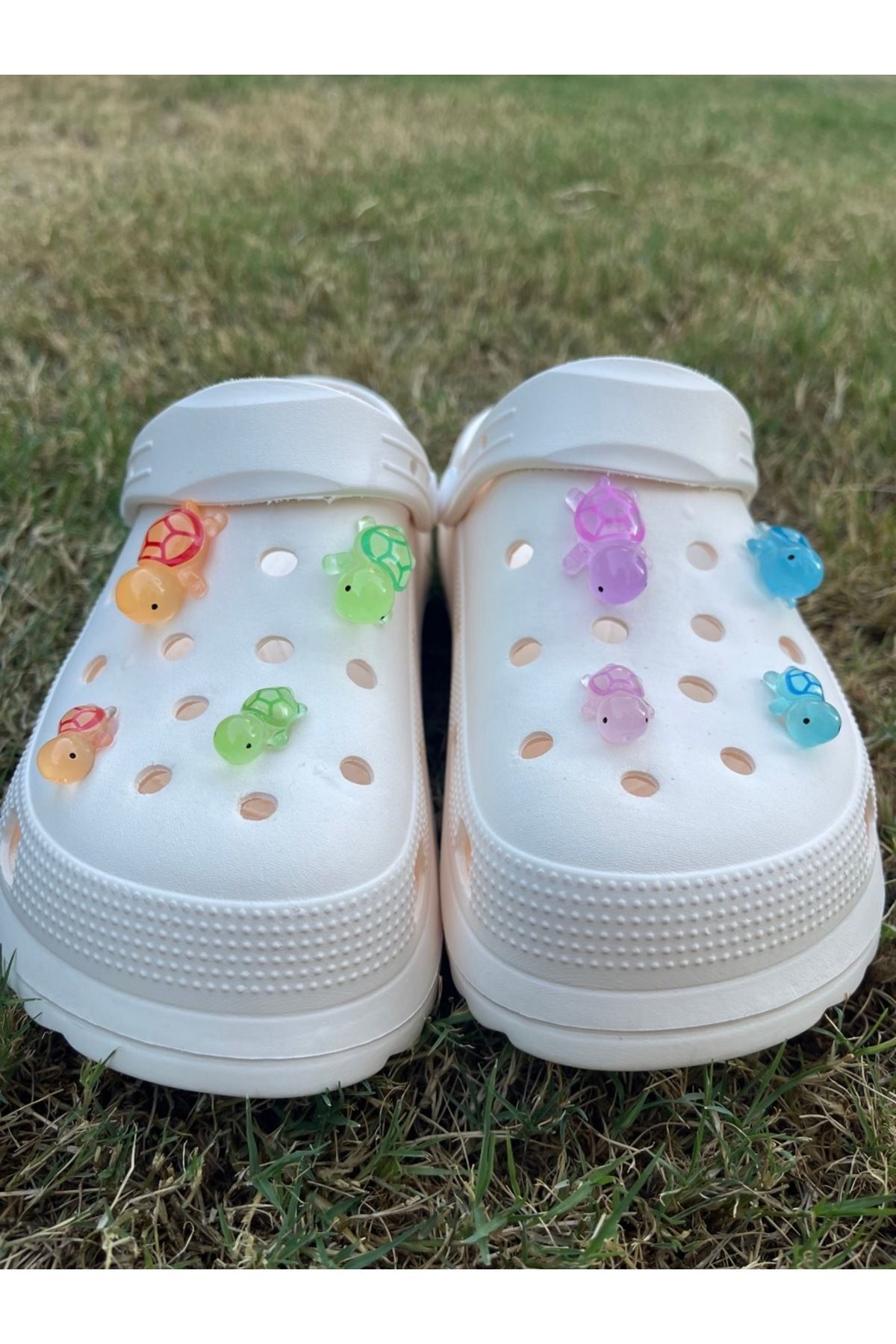هدیه مفهومی لاک پشت توله سگ درخشان در تزئینات لغزنده سه بعدی تاریک 3D JIBBTIZ CROCS CHARM Crocs