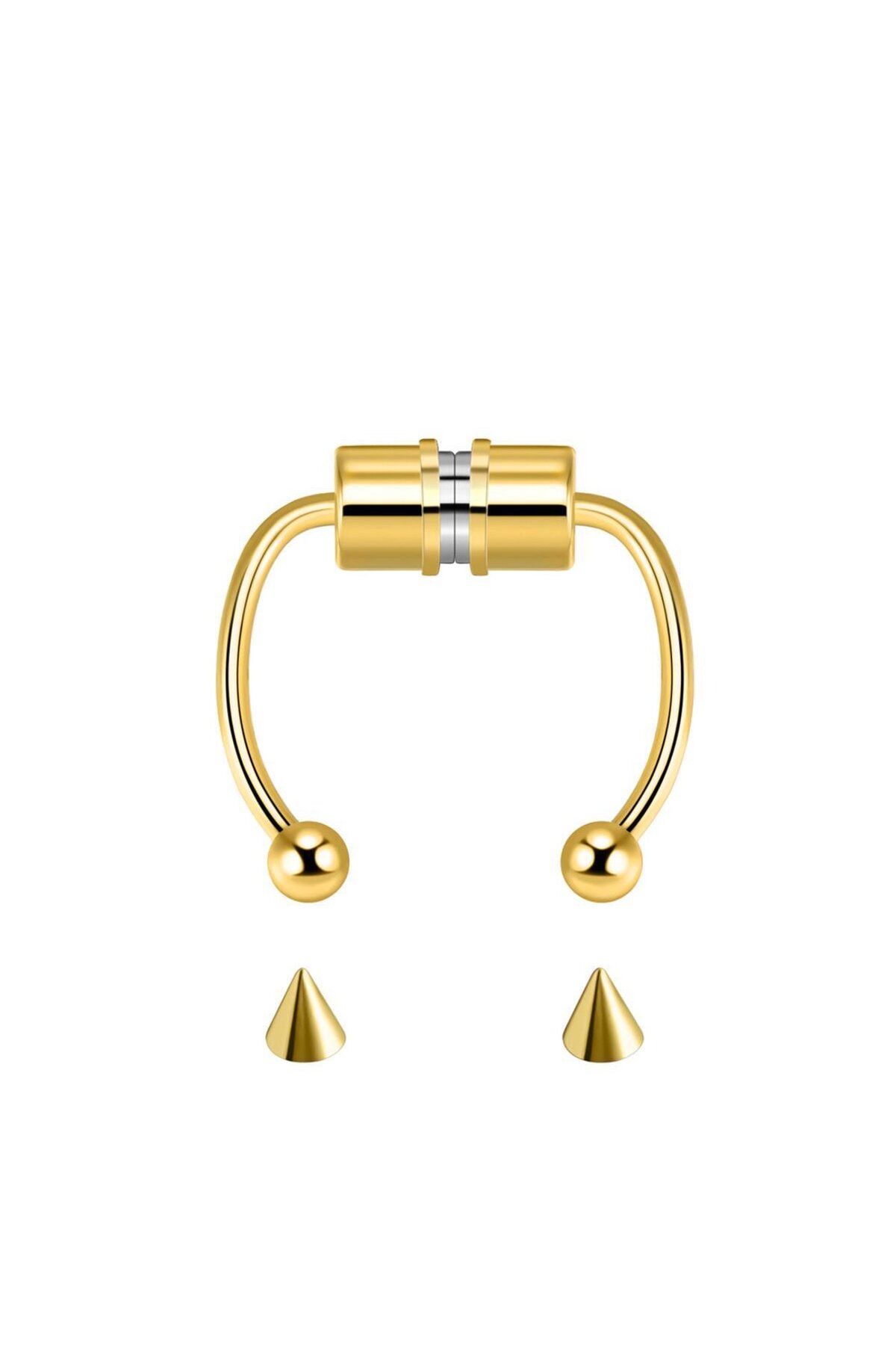 miso aksesuar takı Misotrend Renk Mıknatıslı Burun Piercing Paslanmaz Çelik  Septum Deliksiz Lip Fake Piercing Hızma Fiyatı, Yorumları - Trendyol