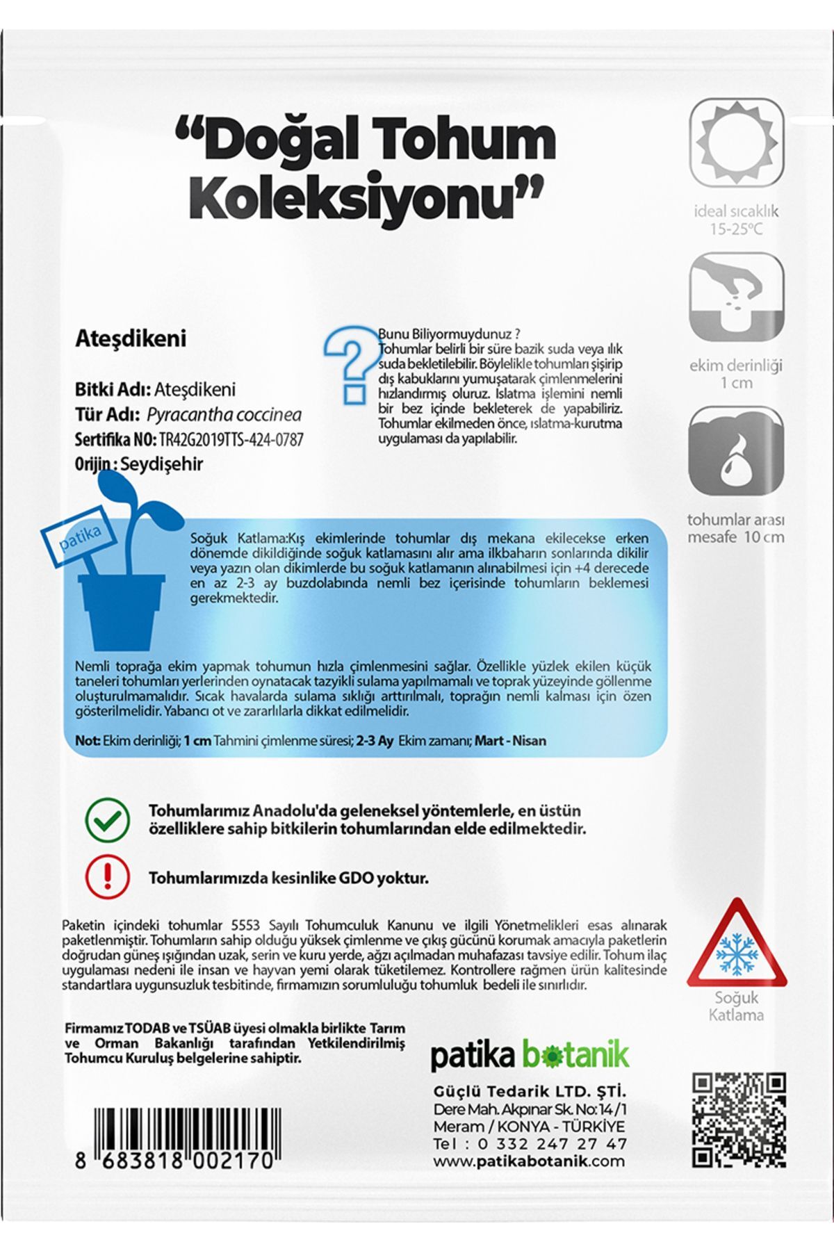15 Adet Ateşdikeni Ağaç Tohumu 4