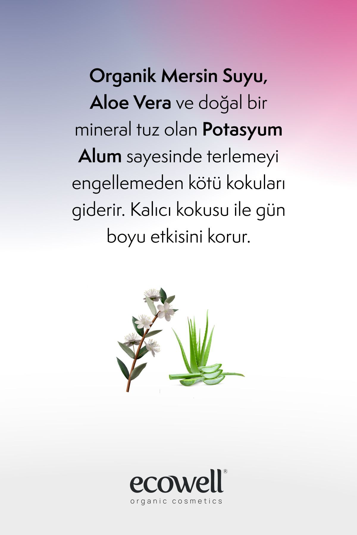 دئودورانت زنانه  Ecowell | SET- 3316 + 3309 اورجینال - تصویر 4