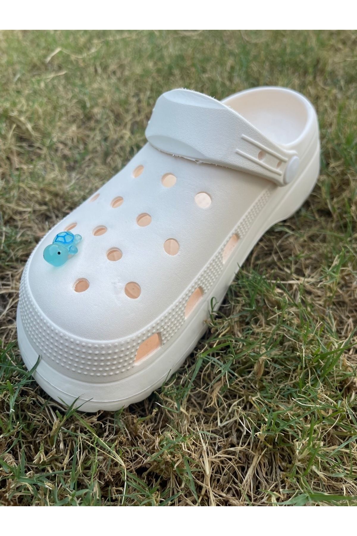 هدیه مفهومی لاک پشت توله سگ درخشان در تزئینات لغزنده سه بعدی تاریک 3D JIBBTIZ CROCS CHARM Crocs