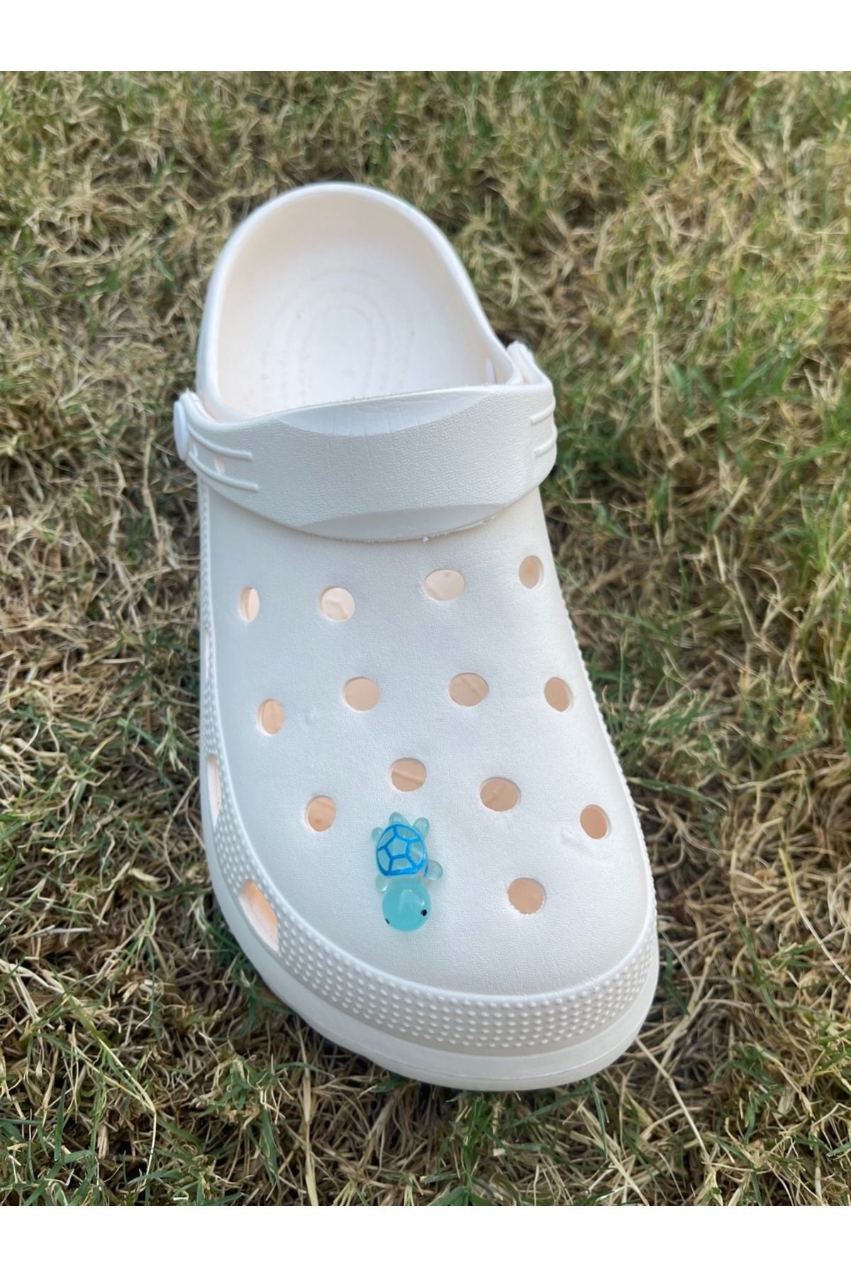 هدیه مفهومی لاک پشت توله سگ درخشان در تزئینات لغزنده سه بعدی تاریک 3D JIBBTIZ CROCS CHARM Crocs