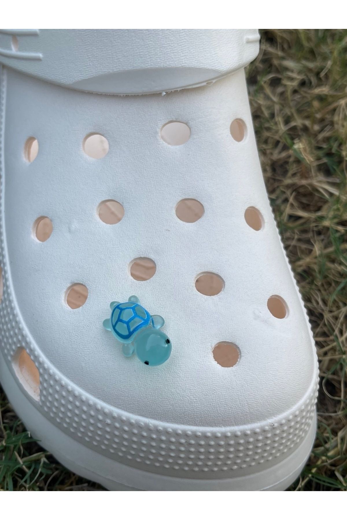 هدیه مفهومی لاک پشت توله سگ درخشان در تزئینات لغزنده سه بعدی تاریک 3D JIBBTIZ CROCS CHARM Crocs