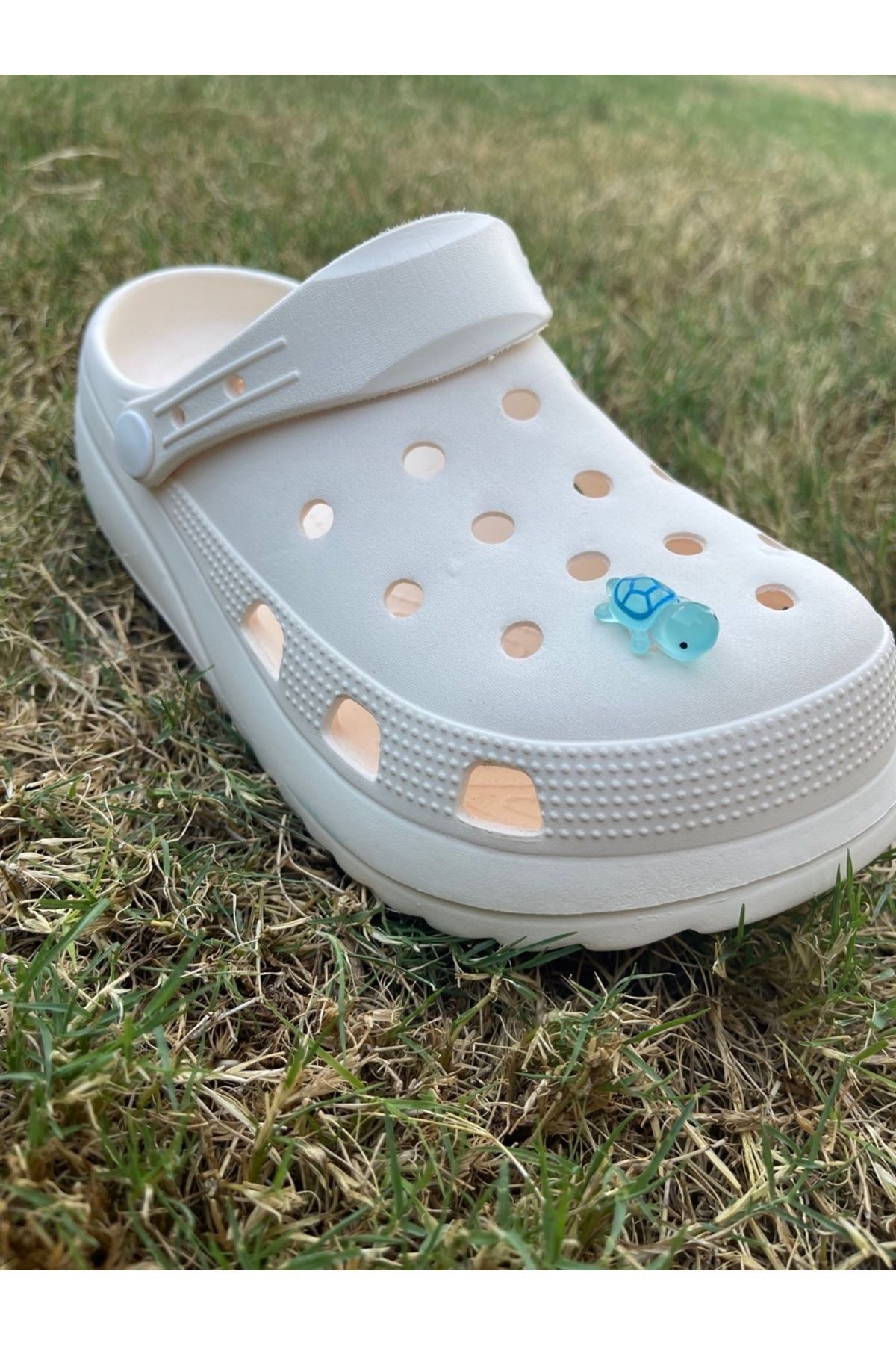 هدیه مفهومی لاک پشت توله سگ درخشان در تزئینات لغزنده سه بعدی تاریک 3D JIBBTIZ CROCS CHARM Crocs