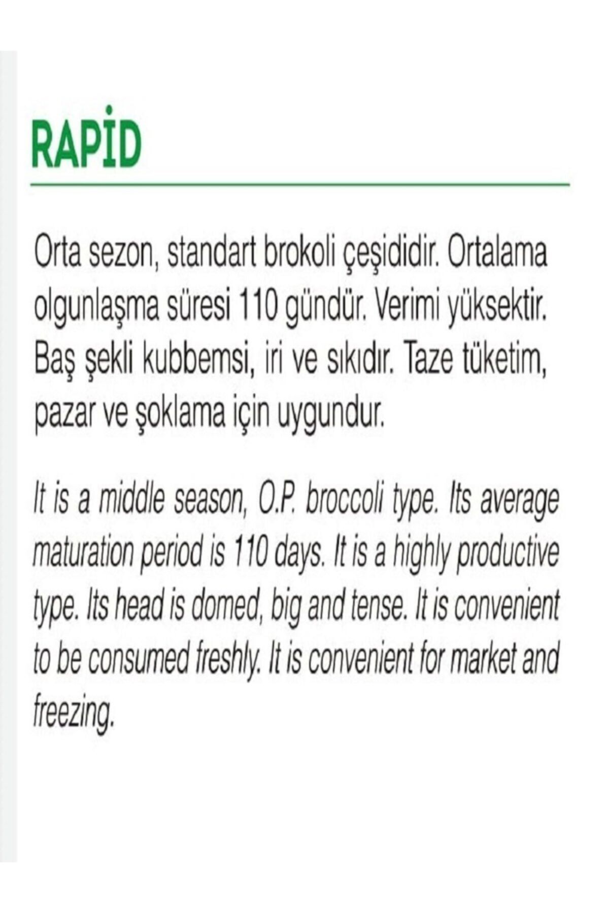 Yerli Doğal Brokoli Çeşit Rapid 100 Adet Sebze Tohumu 2