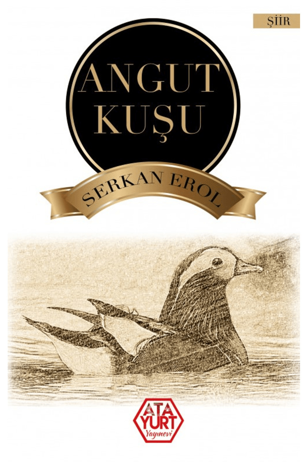 Angut Kuşu / Serkan Erol / Atayurt Yayınevi / 9786256900561