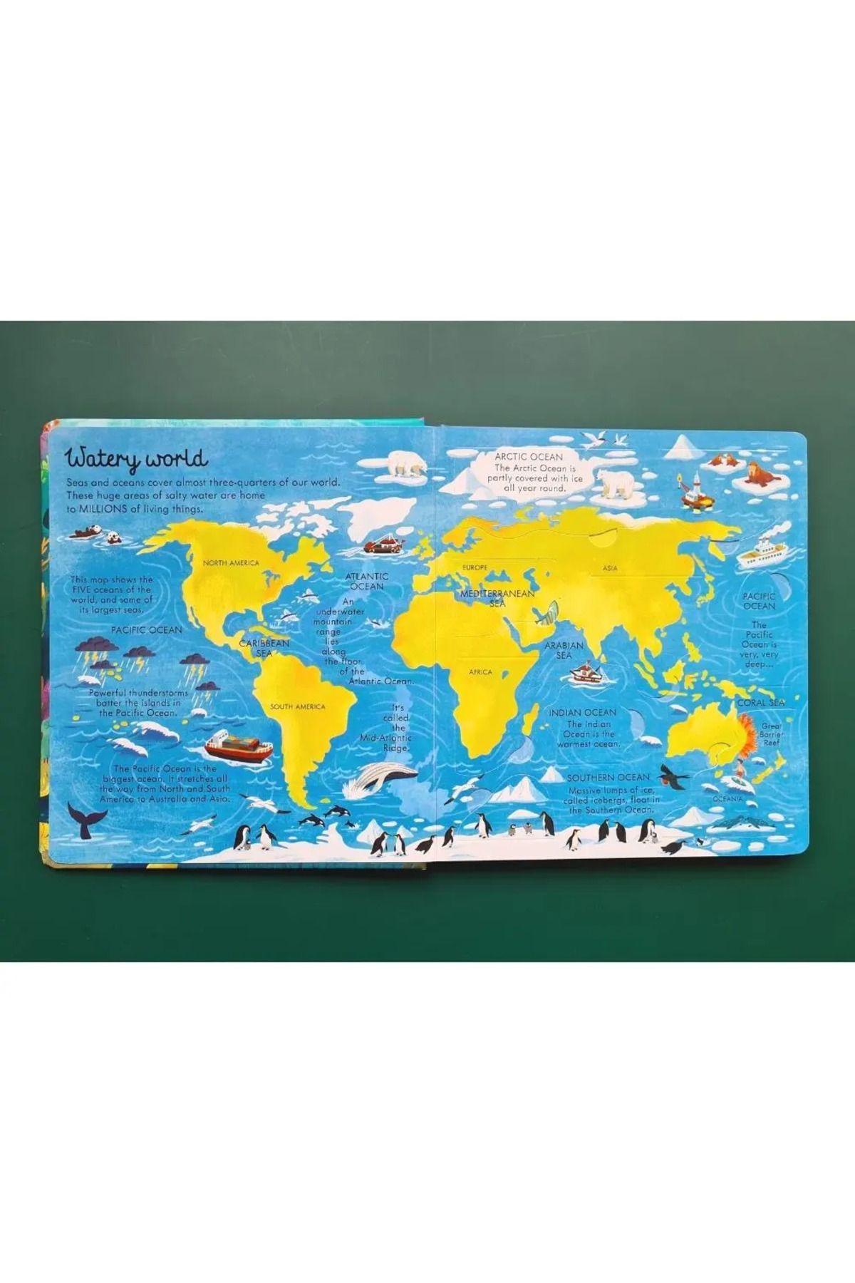 Penguin Books-Megan Cullis - Lentel Changed Seas and Oceans Board Book 4