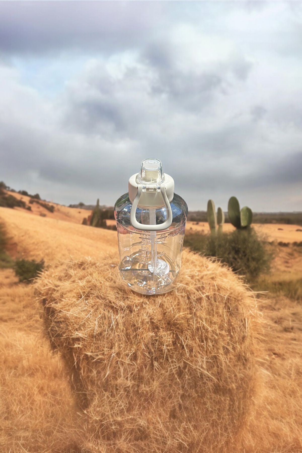 YDGR-1.5 L Water Bottle - Easy Portability, Easy Use with Handle, Handle and Straw and Straw Free 3