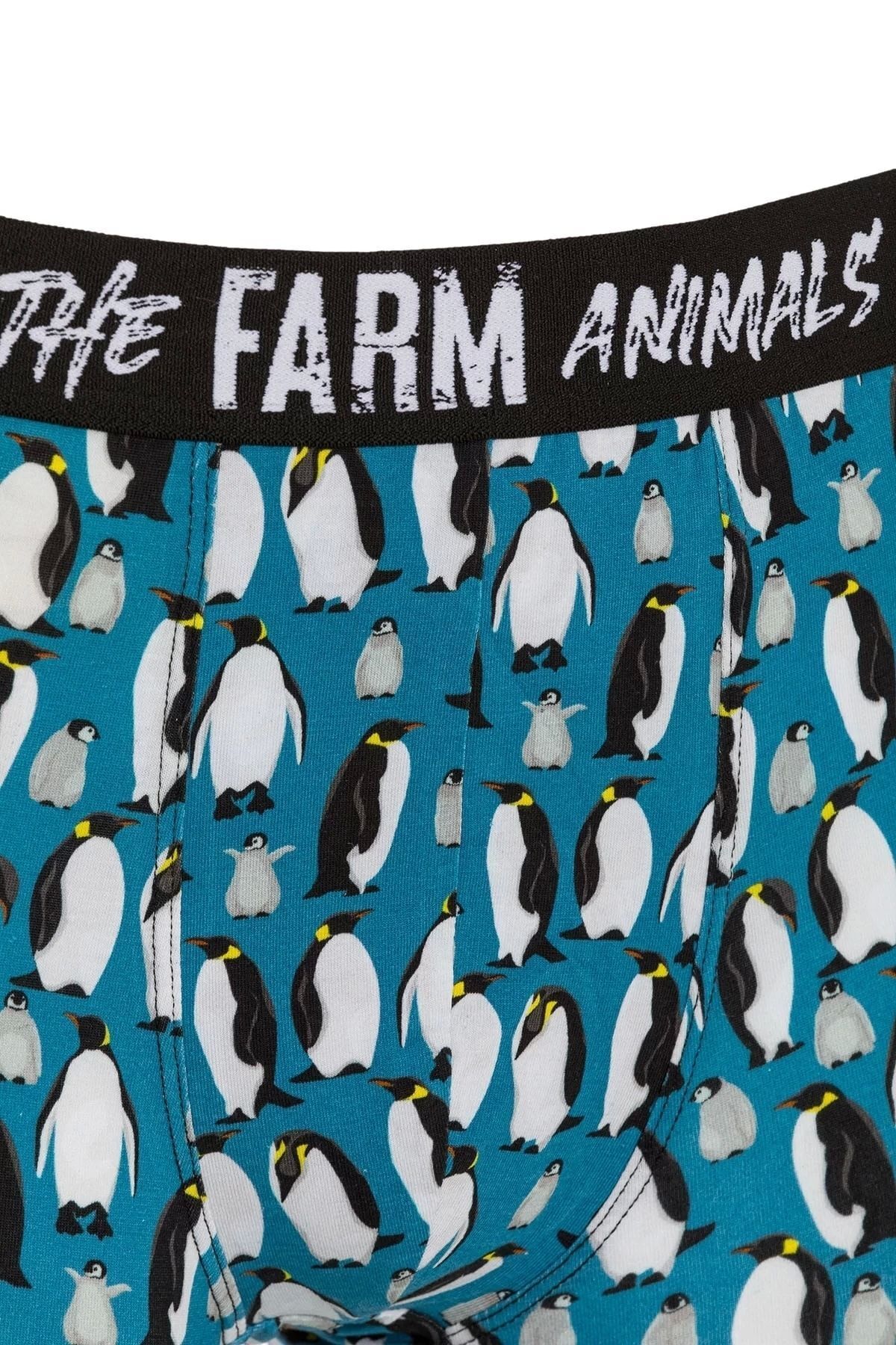 باکسر مردانه آبی FARM ANİMALS | farmbxr008 اورجینال - تصویر 3