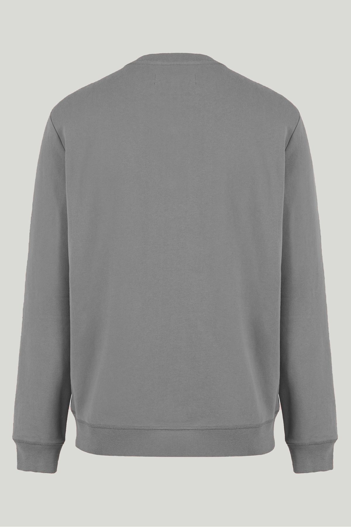 COMBİNE MİCHAİL-Gray Color Basic Crew Neck Relaxed Regular Men's Sweatshirt 2