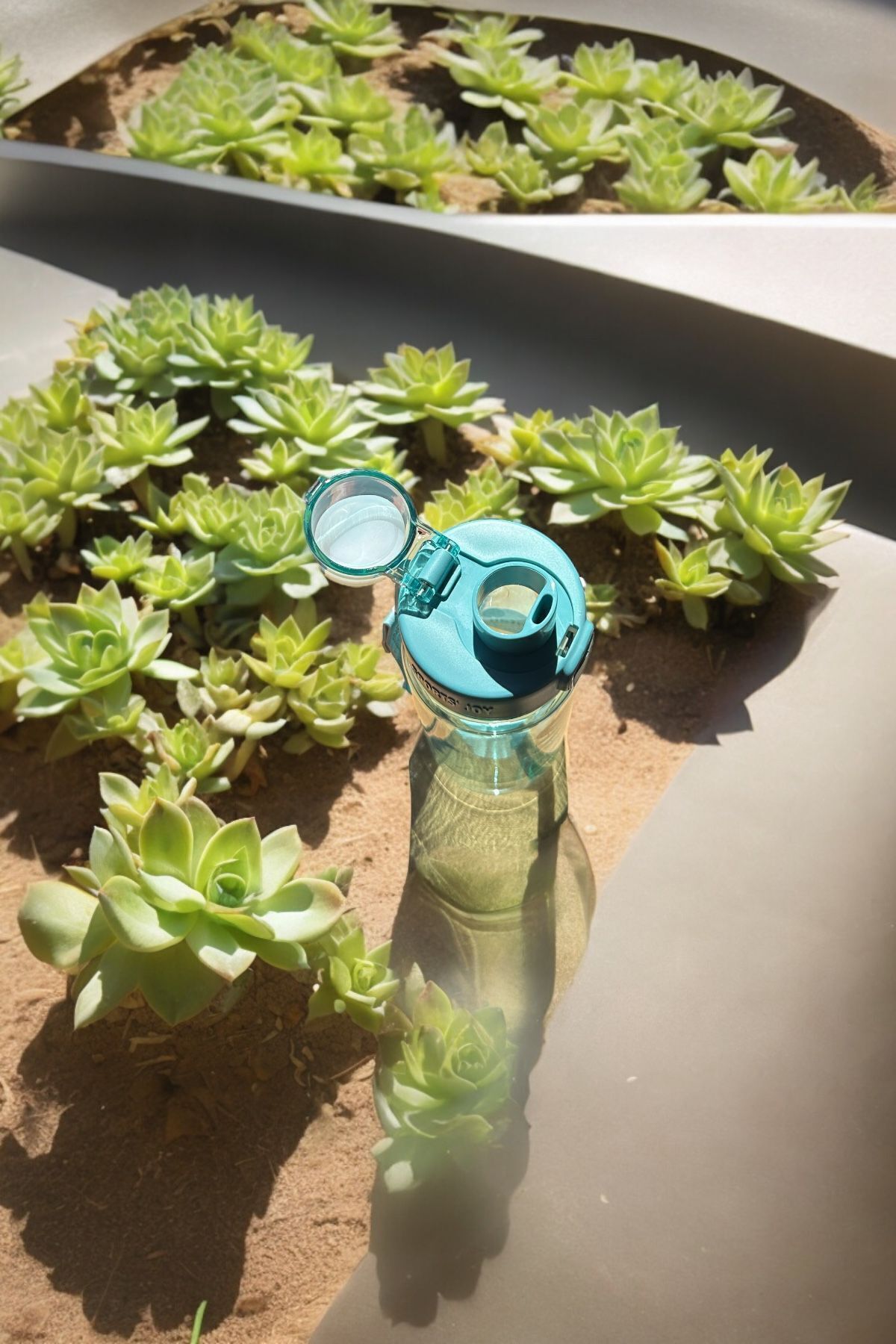 YDGR-750 ml Tritan BPA-Free Bottle - With and Without Straw, Eco-Friendly and Practical Use 3