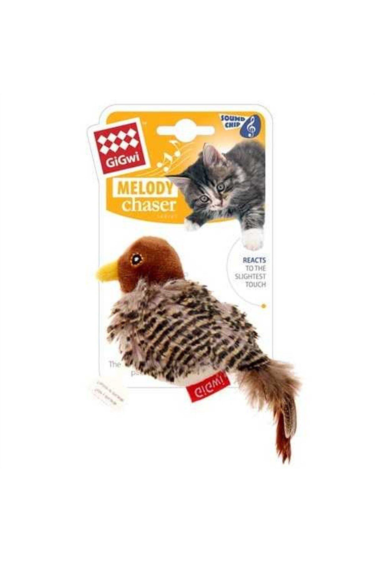 Melody chaser cat toy discount