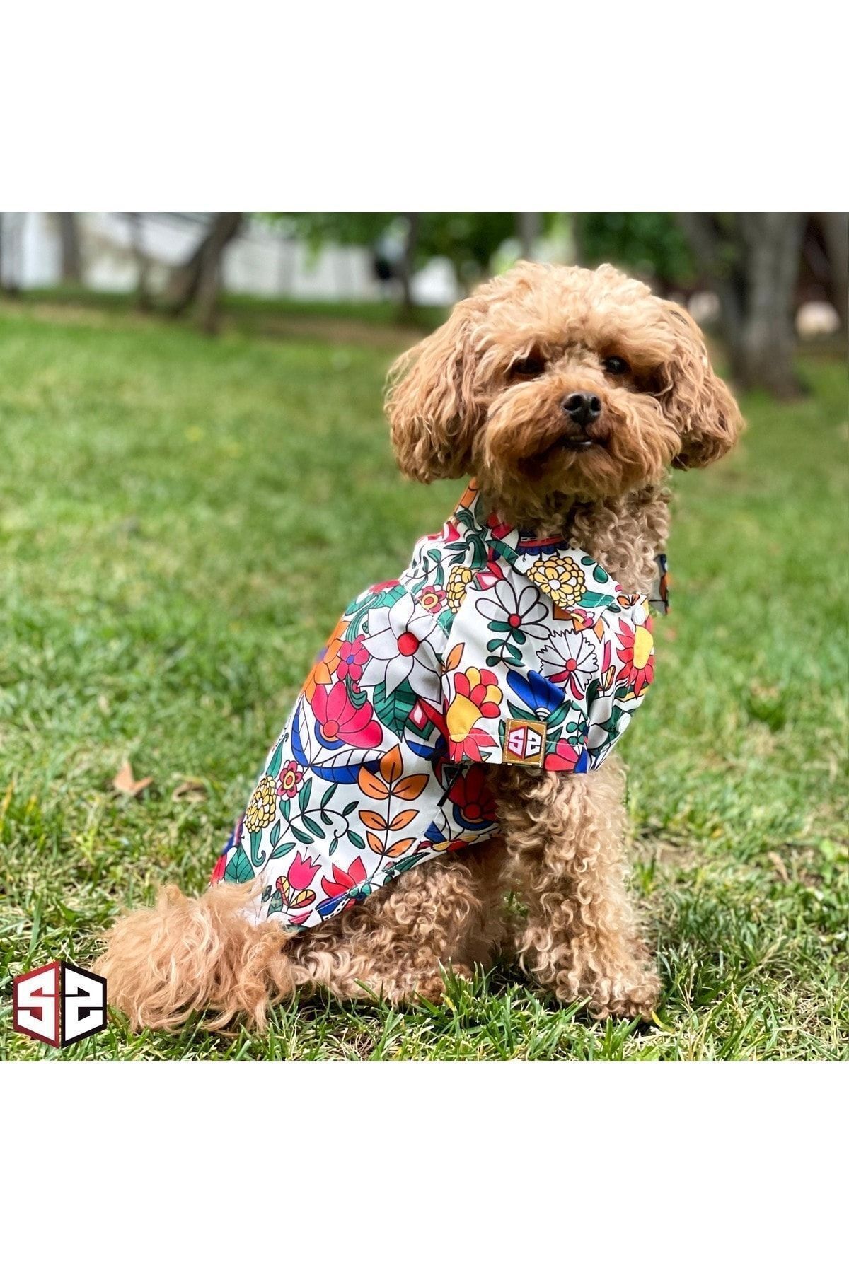 salya store Hawaiian Floral Patterned Dog Shirt Small Breed 0 15 Kg Neon Colors Summer Trendyol
