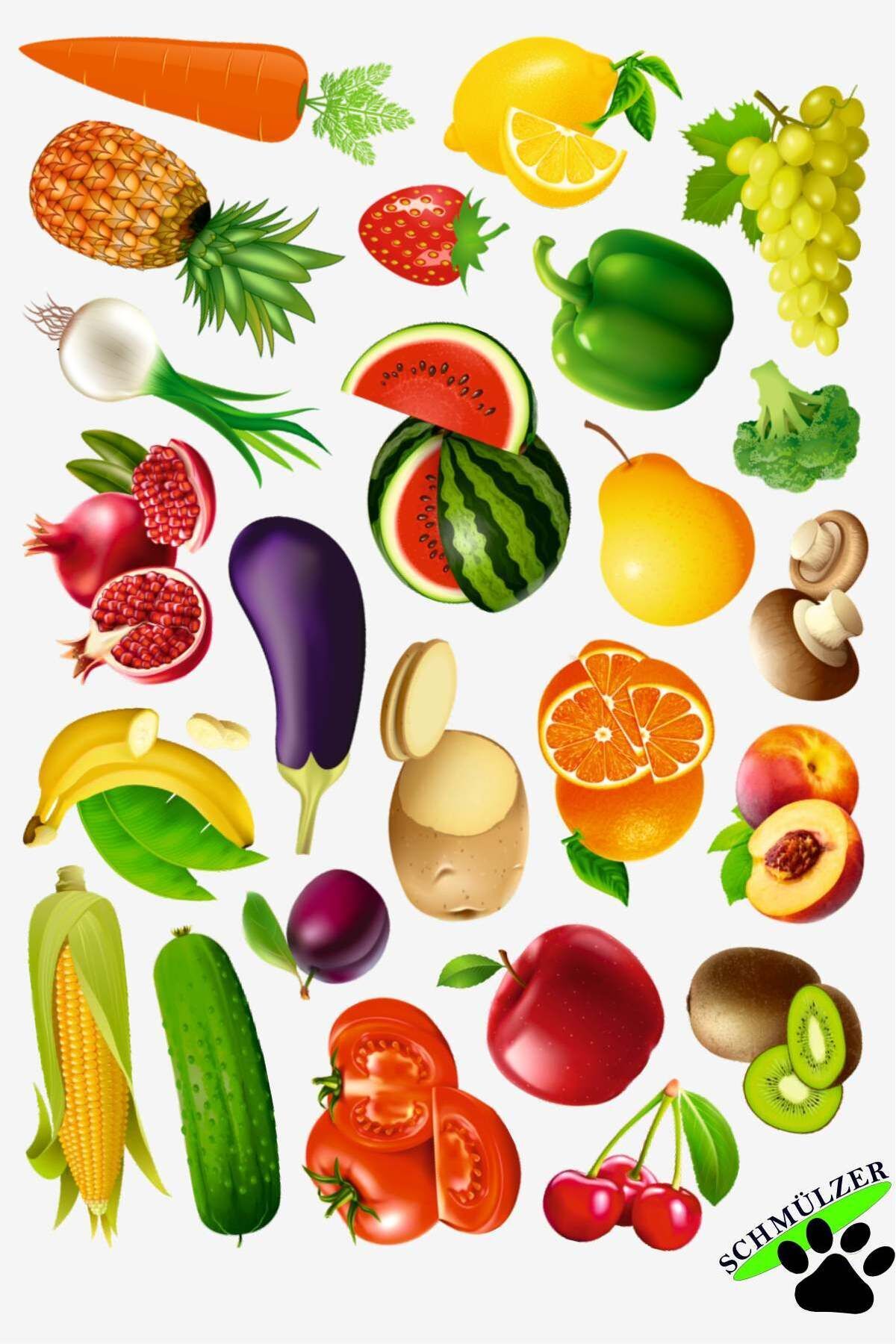 Schmülzer Buzdolabı Eğitici 2'li Set Manyetik Hayvanlar / Meyveler - Manyetik Bultak Şablon Eğitici Oyuncak fotoğrafı 7 (önizleme)