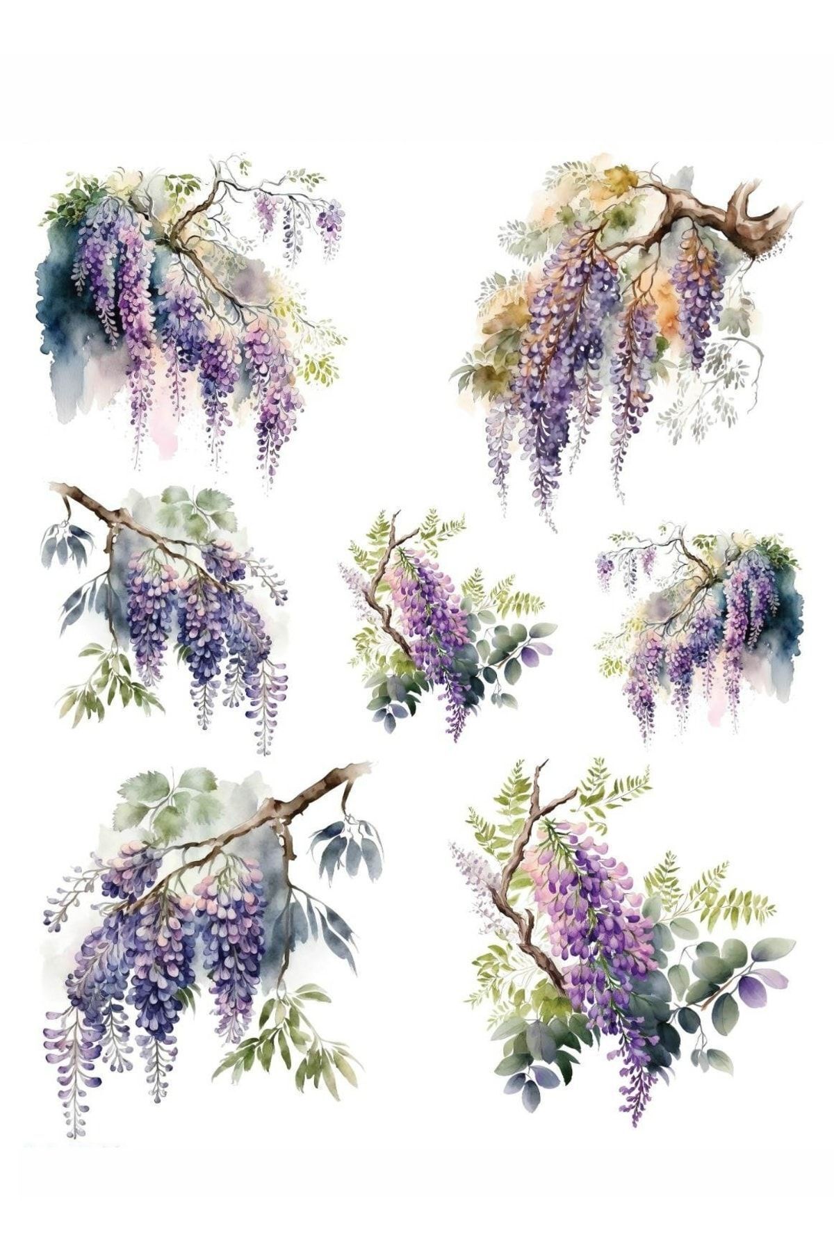 MyHobby Sulu Transfer Kağıdı Lnt-135 25x35 Cm