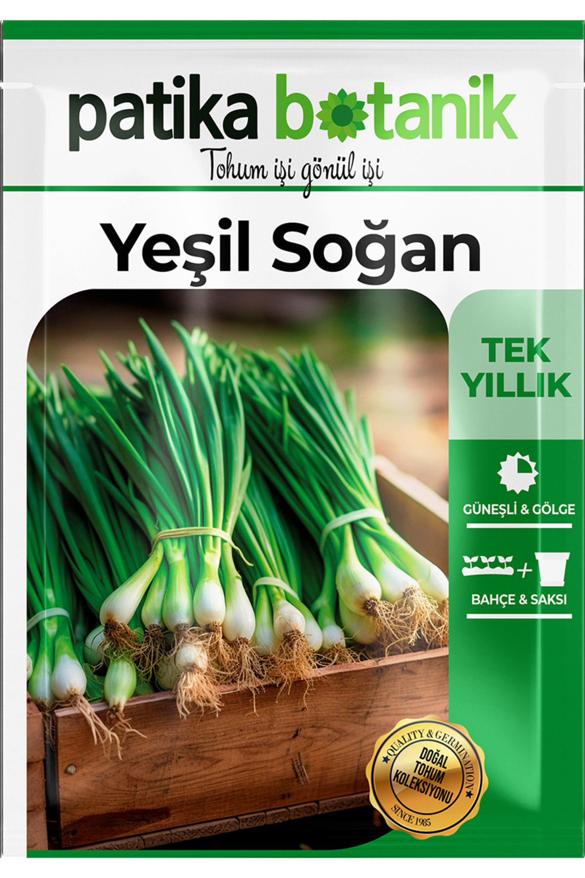 400 Adet Ata Tohumu Yerli Yeşil Soğan 3