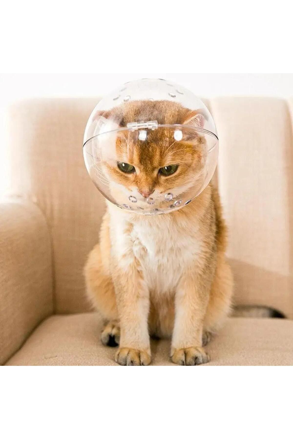 Kedi şeffaf nefes kafa kaputu ayarlanabilir kask Bite dayanıklı bakım Pet yuvarlak başlık astronot