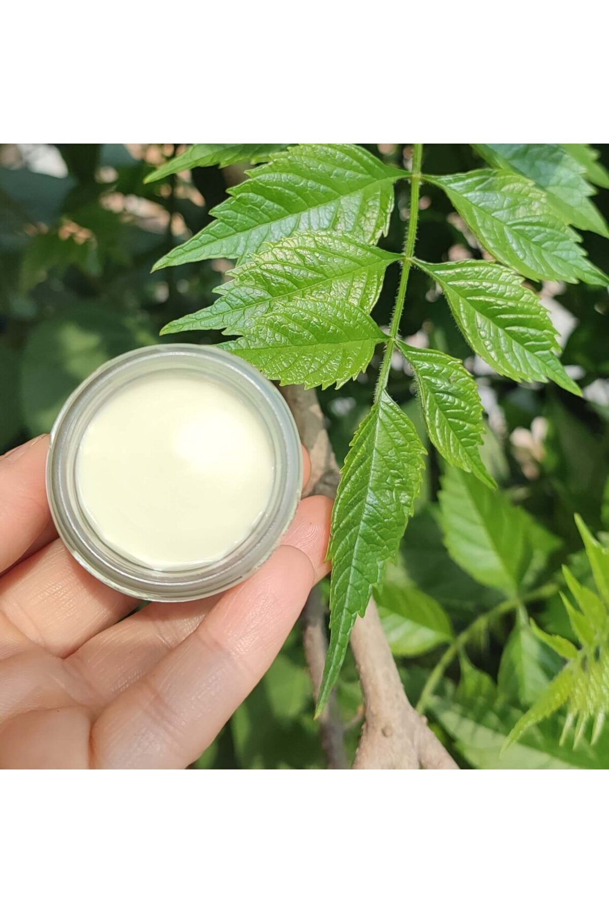 دئودورانت زنانه  Besler | Deo15012024 اورجینال - تصویر 2