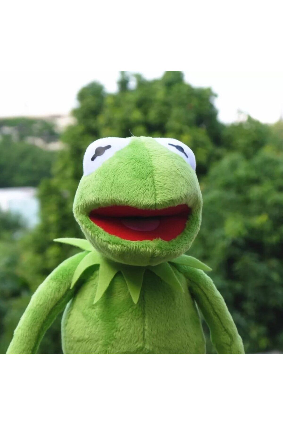 NoHar-Nohar Sesame Street - High Quality Plush Kermit Frog 4
