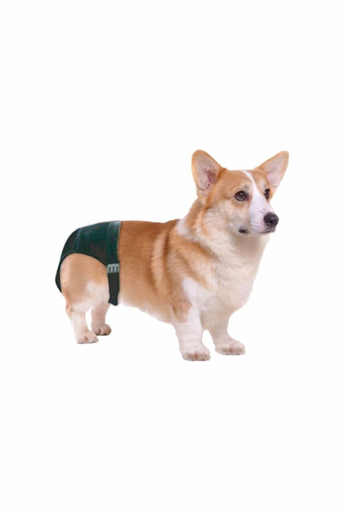 Pawise-Dog Panties - Xsmall No:0 2