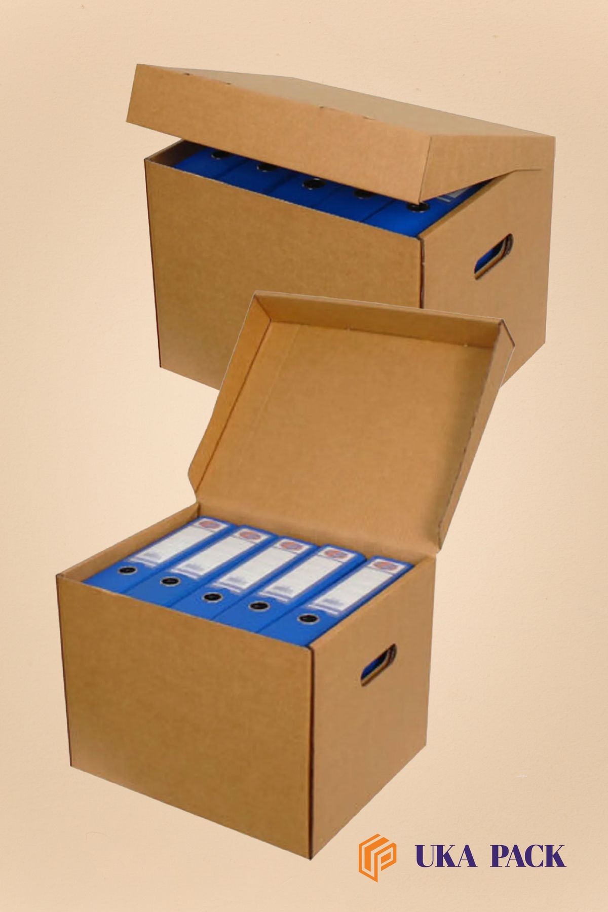 UKAPACK-Storage Box with Lid - Storage Pendant - Folder Archive Box (34X31X24) 10 pieces 4