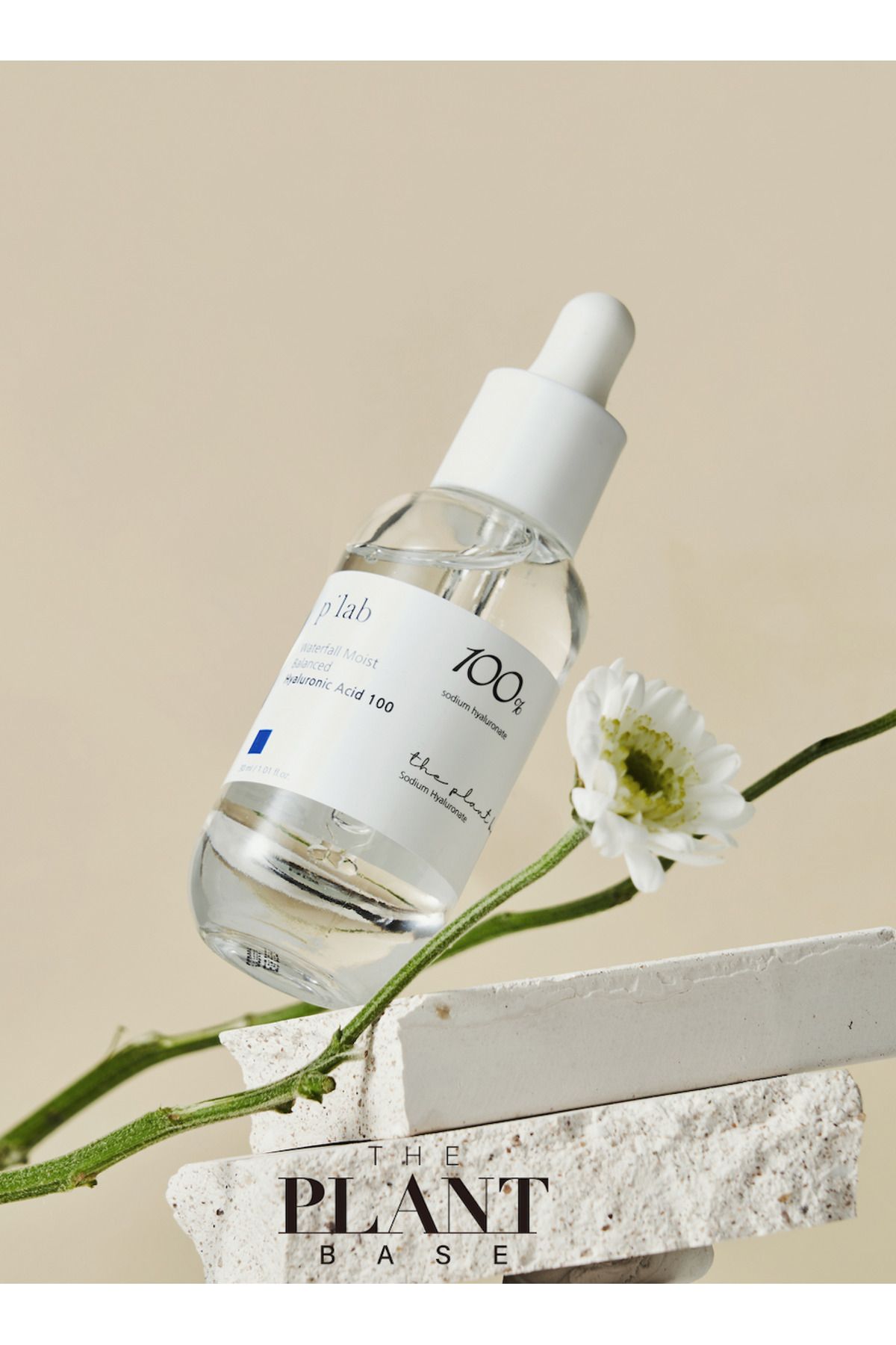 Waterful Moist Balance Hyaluronic Acid 100 - سرم مرطوب کننده 30ml The Plant Base
