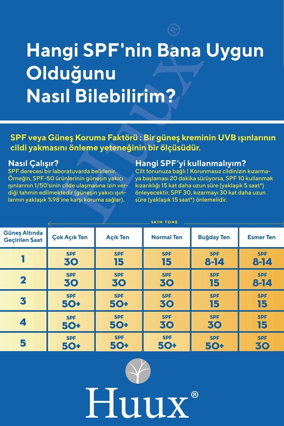 Güneş Kremi Koyu Leke Karşıtı Spf 50+ Faktörlü Çok Yüksek Korumalı Güneş Kremi 50 Ml X2 — 004 — تصویر 6 از 8
