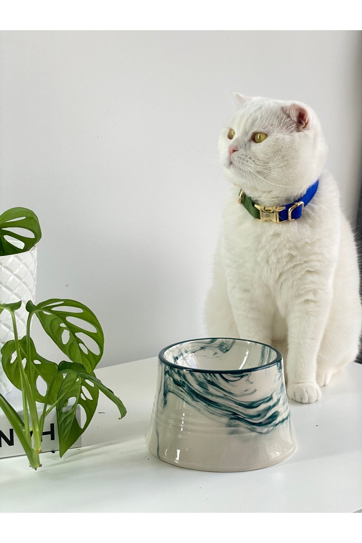 Seramik Kedi Ve Köpek Mama Su Kabı Colorful Moon Bowl (YEŞİL ÇİZGİLİ -EBRU DESEN)