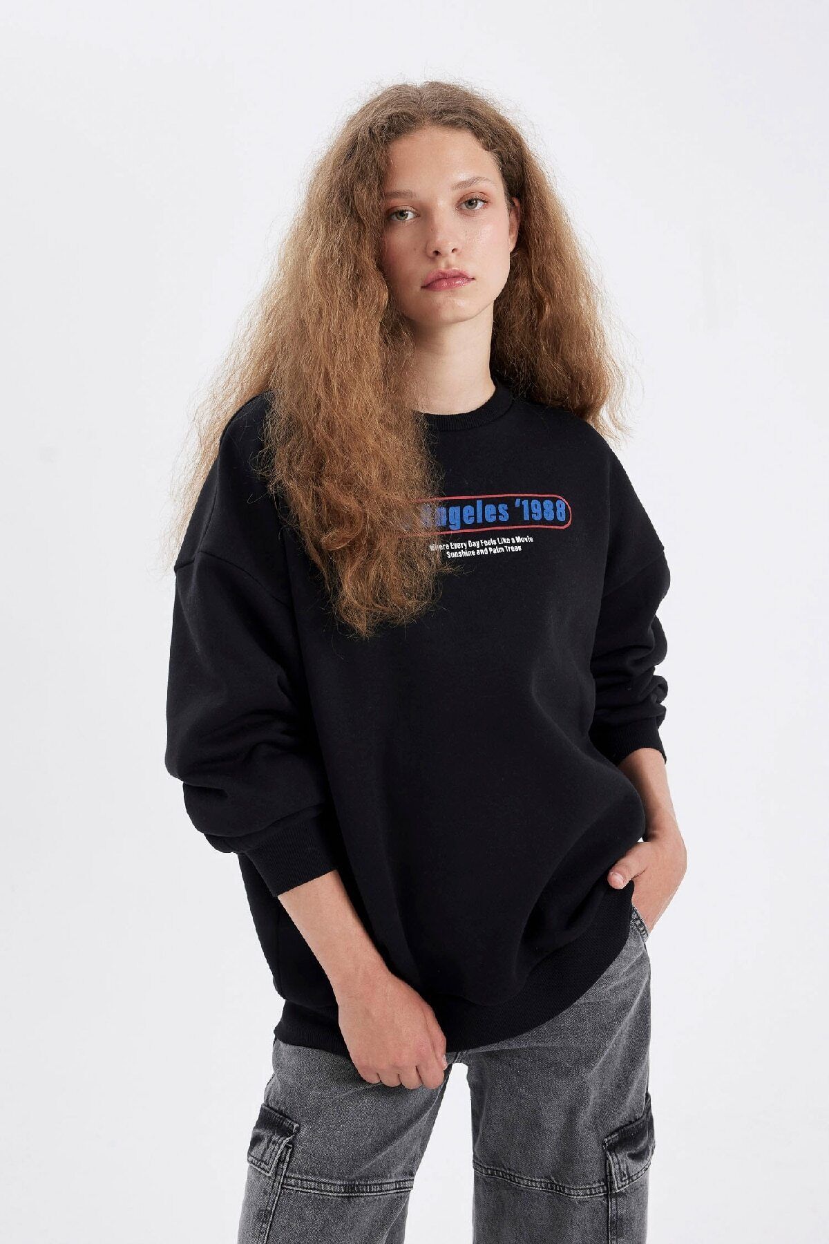 سویشرت زنانه دفاکتو | D4939AX24AU Defacto - Image 3