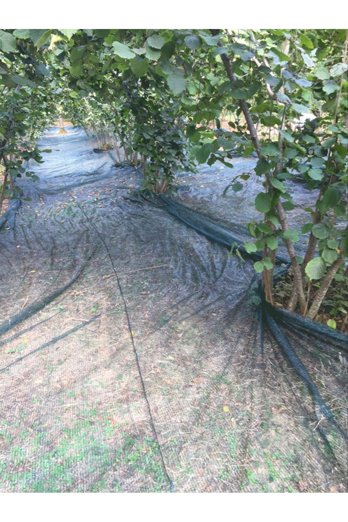 Yüzde 40'lık Yeşil Gölgelik File - 2*2 Metre - Branda - Çit Filesi 2