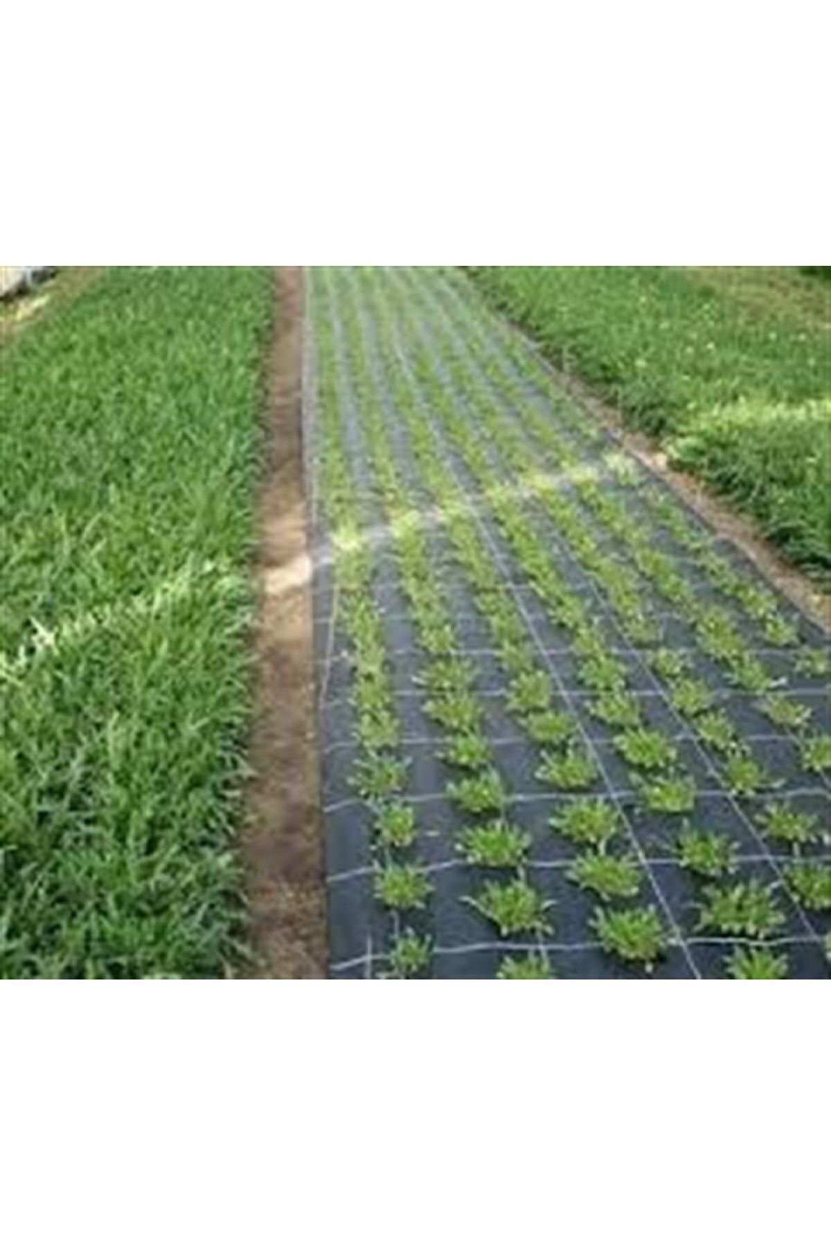 Jüt-sera Taban Örtüsü Siyah 3 X 10m - 2