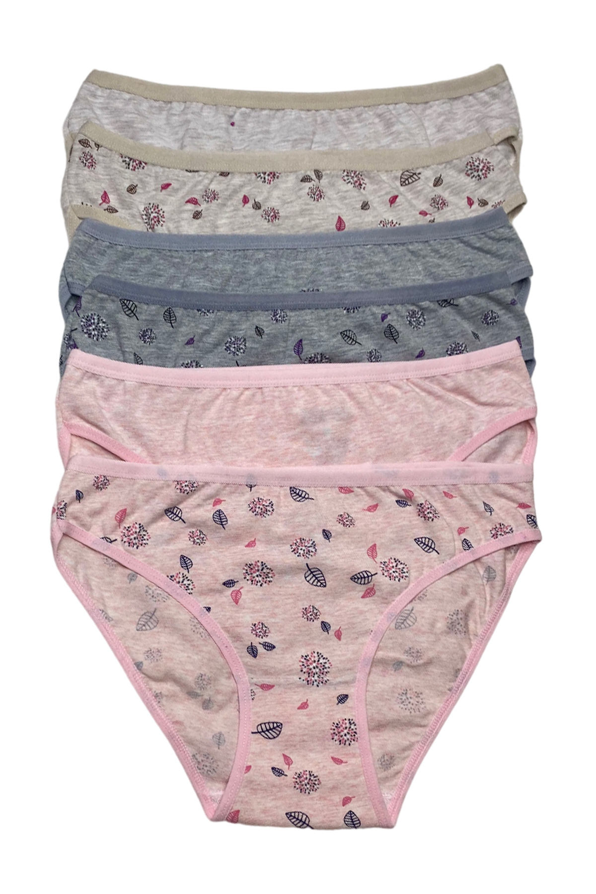 Women's 6-Piece Cotton Lycra Printed Towel Net Panty Set 2246159