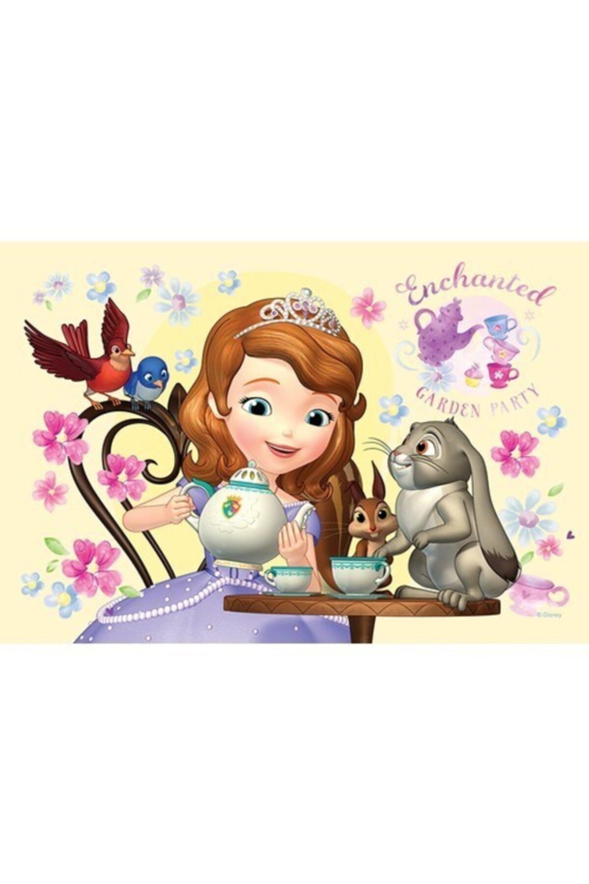 Genel Markalar Trefl Disney Lisanslı Prenses Sofia Mini Puzzle Set 4 ...