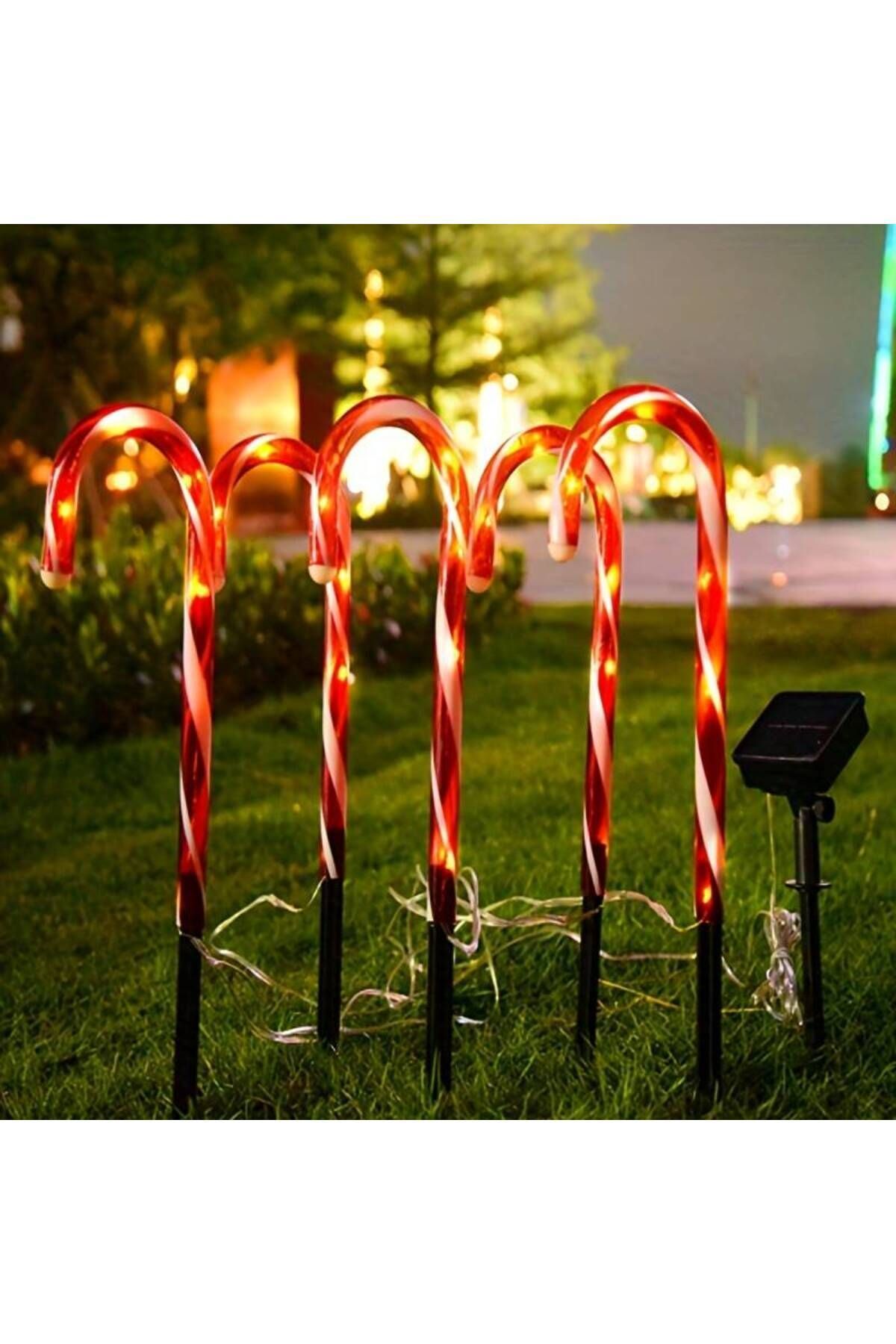SD WORKS 5'li Candy Cane Lights Yılbaşı Şekeri Solar Bahçe Aydınlatması